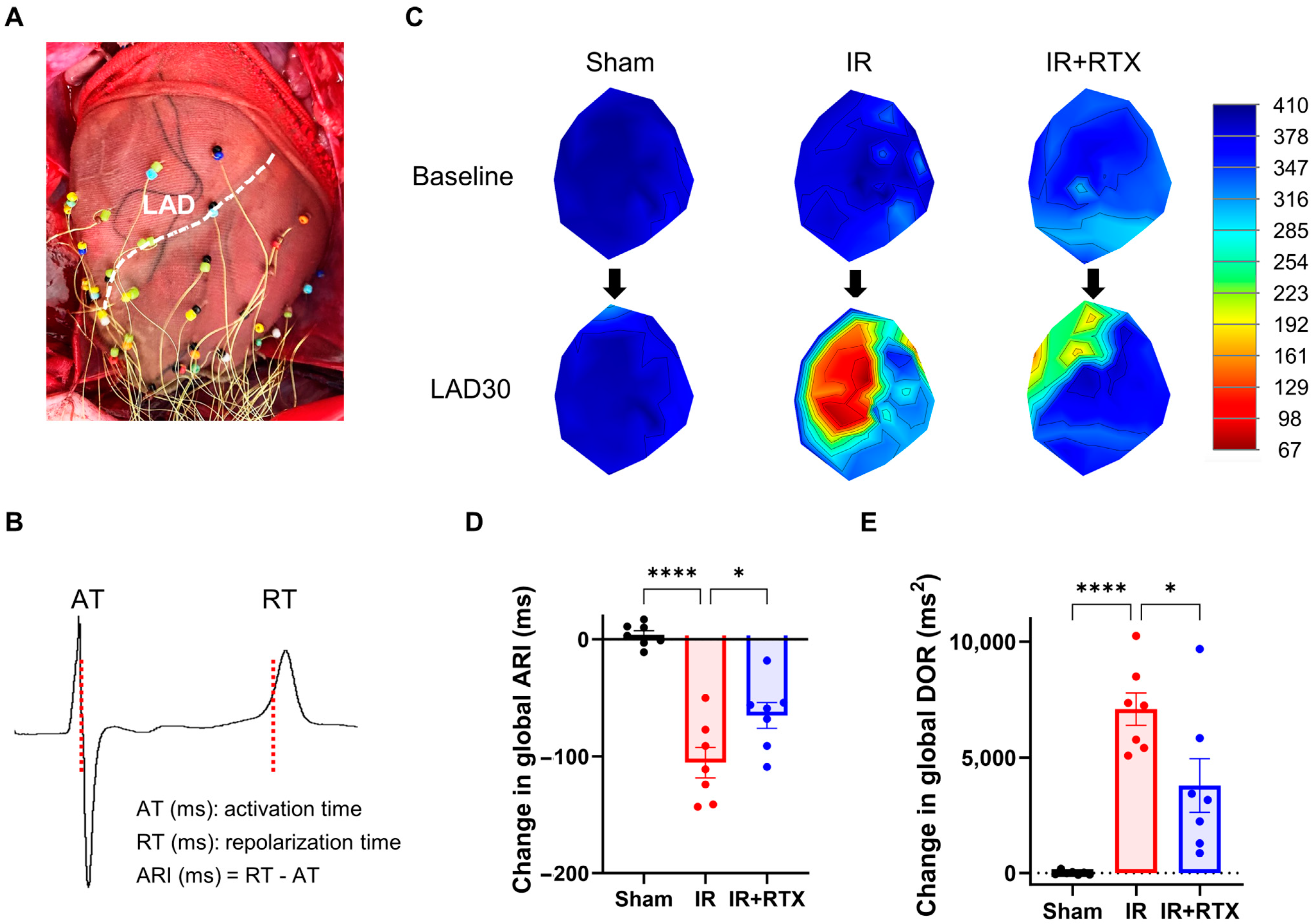 Biomedicines 11 02720 g002 Biomedicines 11 02720 g002