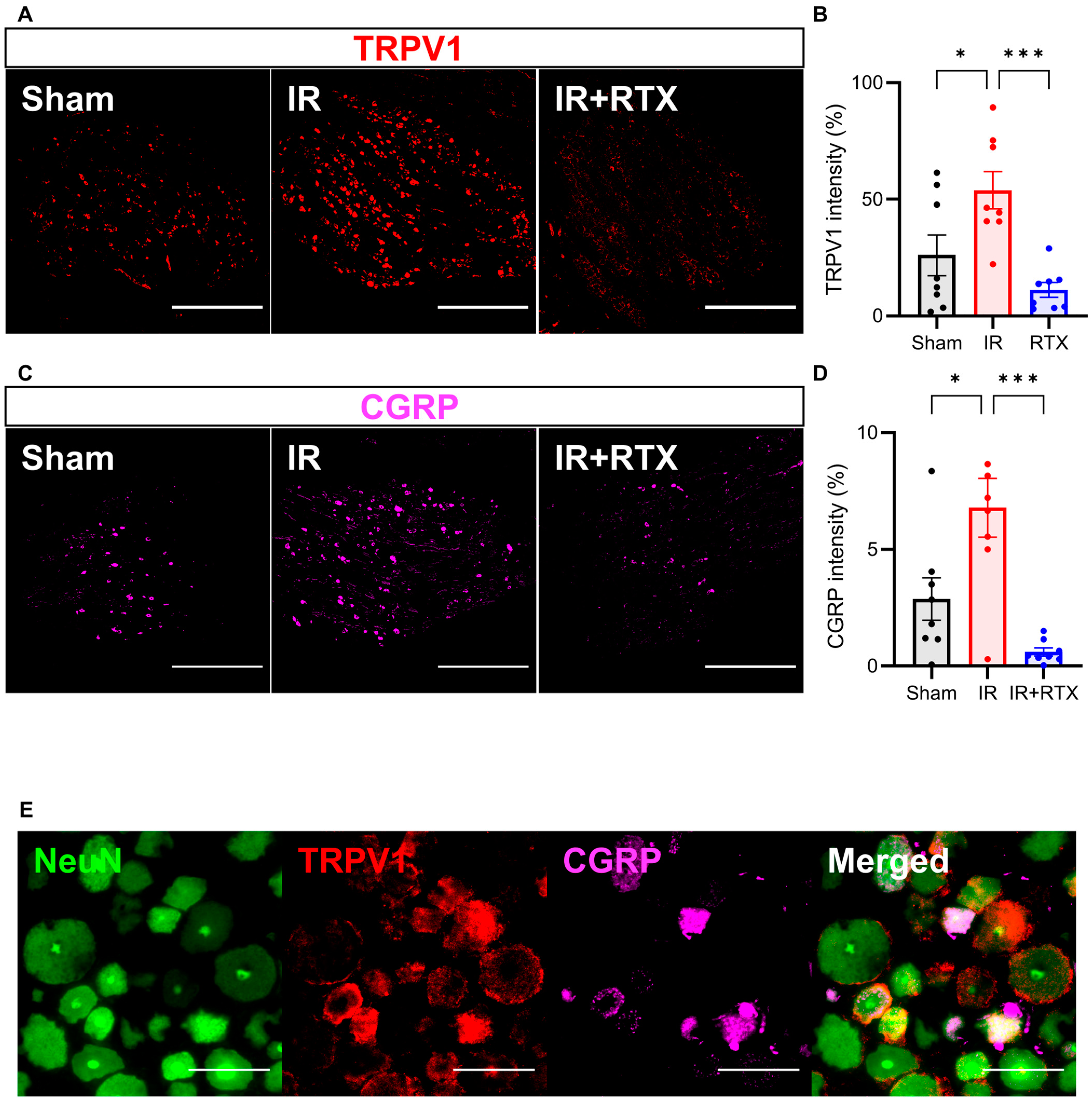 Biomedicines 11 02720 g004 Biomedicines 11 02720 g004