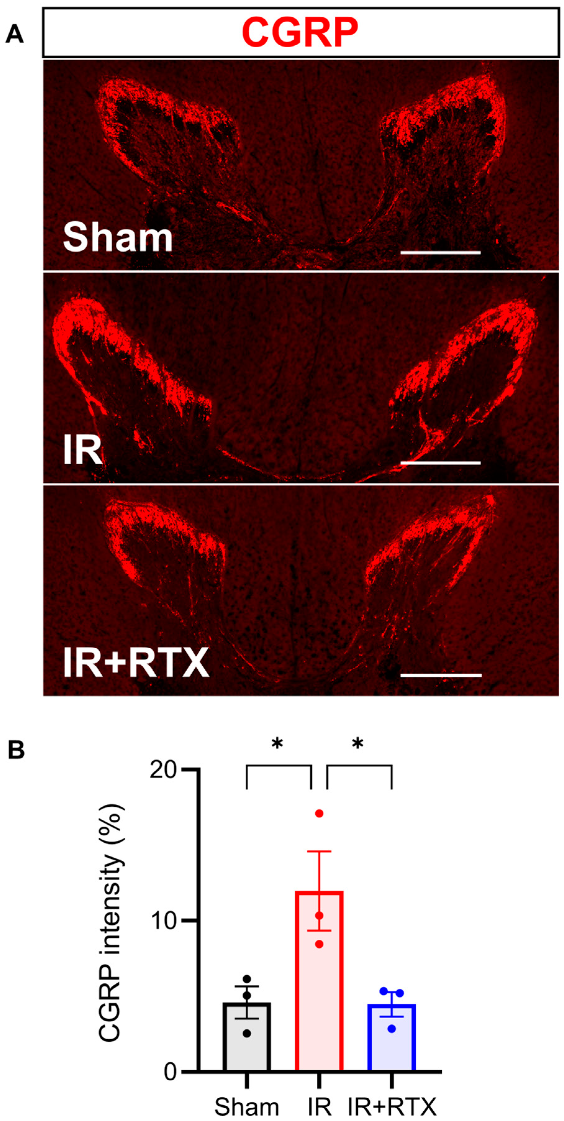 Biomedicines 11 02720 g005 Biomedicines 11 02720 g005