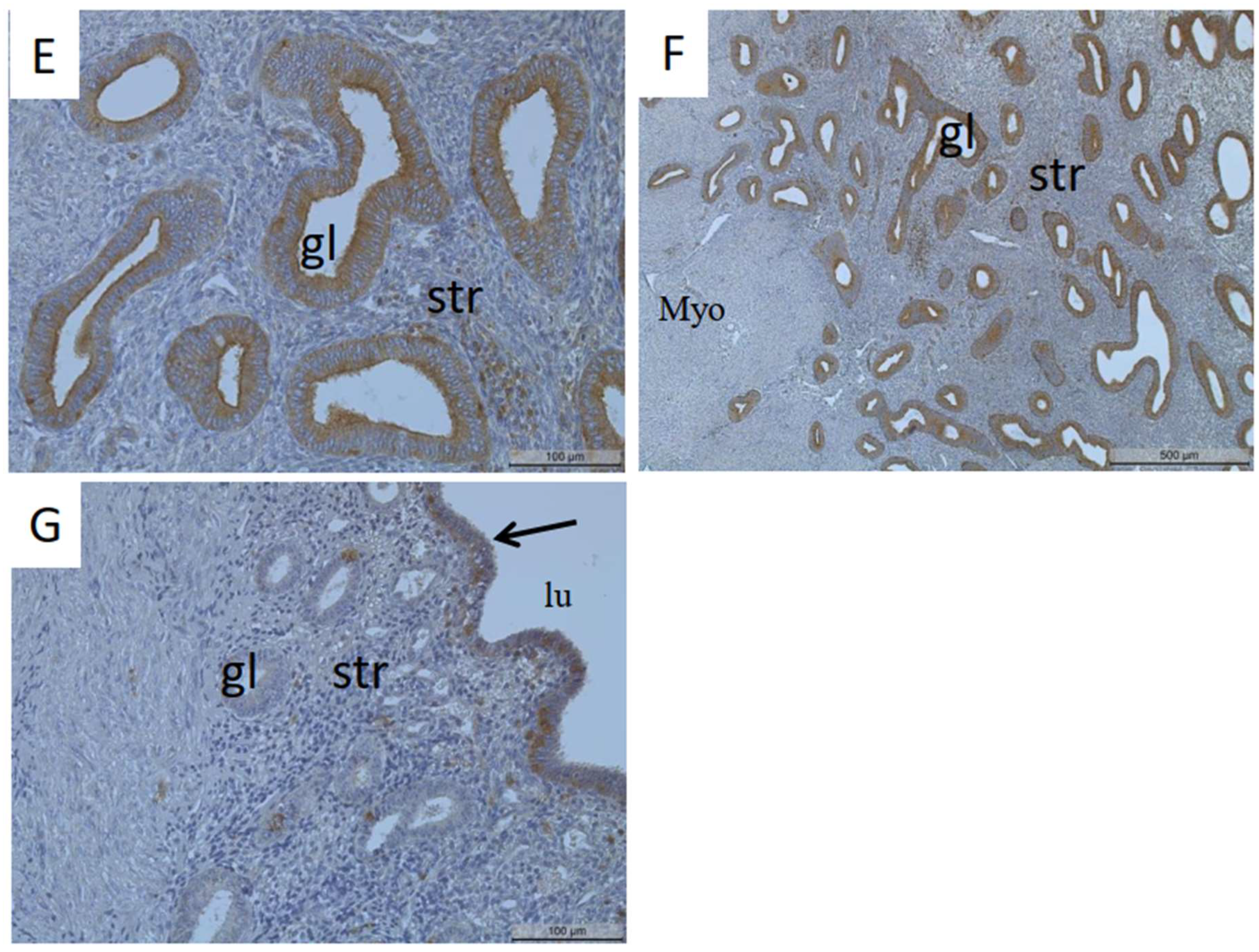 Biomedicines 11 02730 g001b