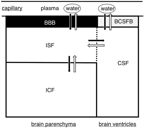 Self-Assembled Nanoscale Materials for Neuronal Regeneration