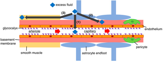 Self-Assembled Nanoscale Materials for Neuronal Regeneration