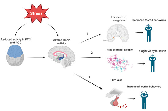 Biomedicines 11 02732 g001