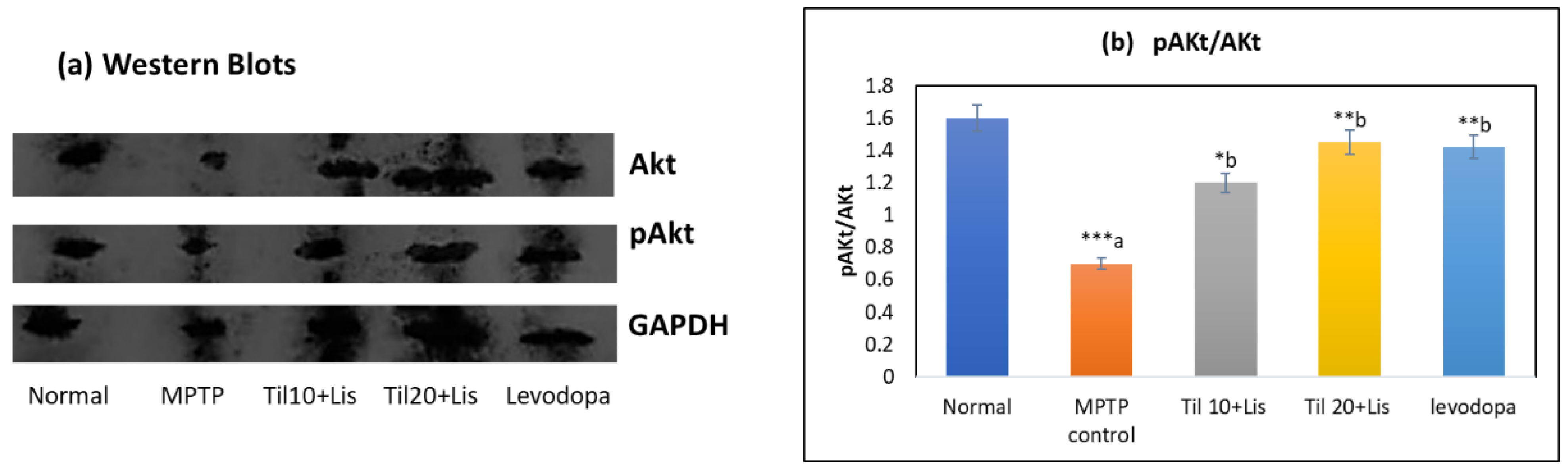 Biomedicines 11 02735 g007 Biomedicines 11 02735 g007