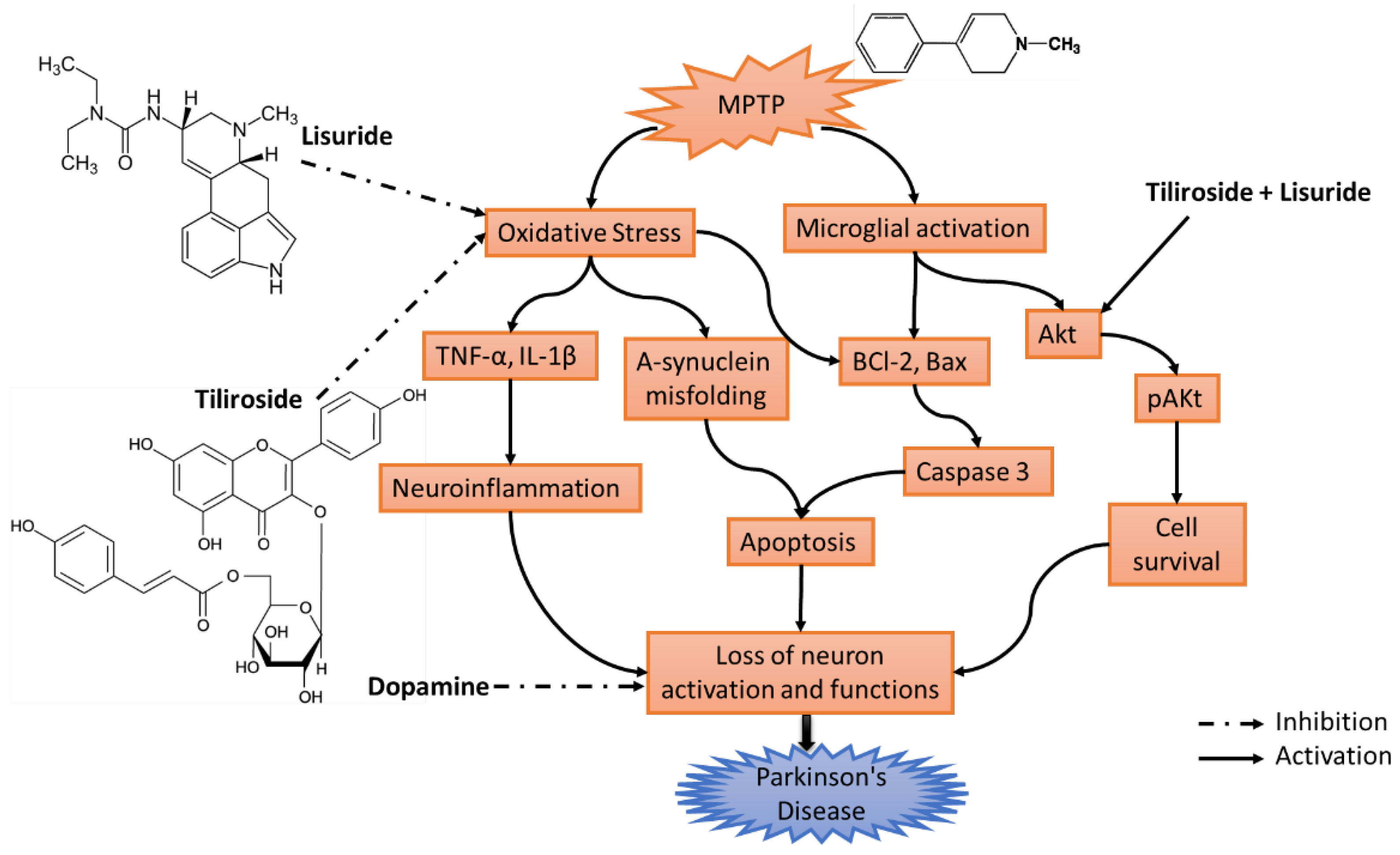Biomedicines 11 02735 sch001 Biomedicines 11 02735 sch001