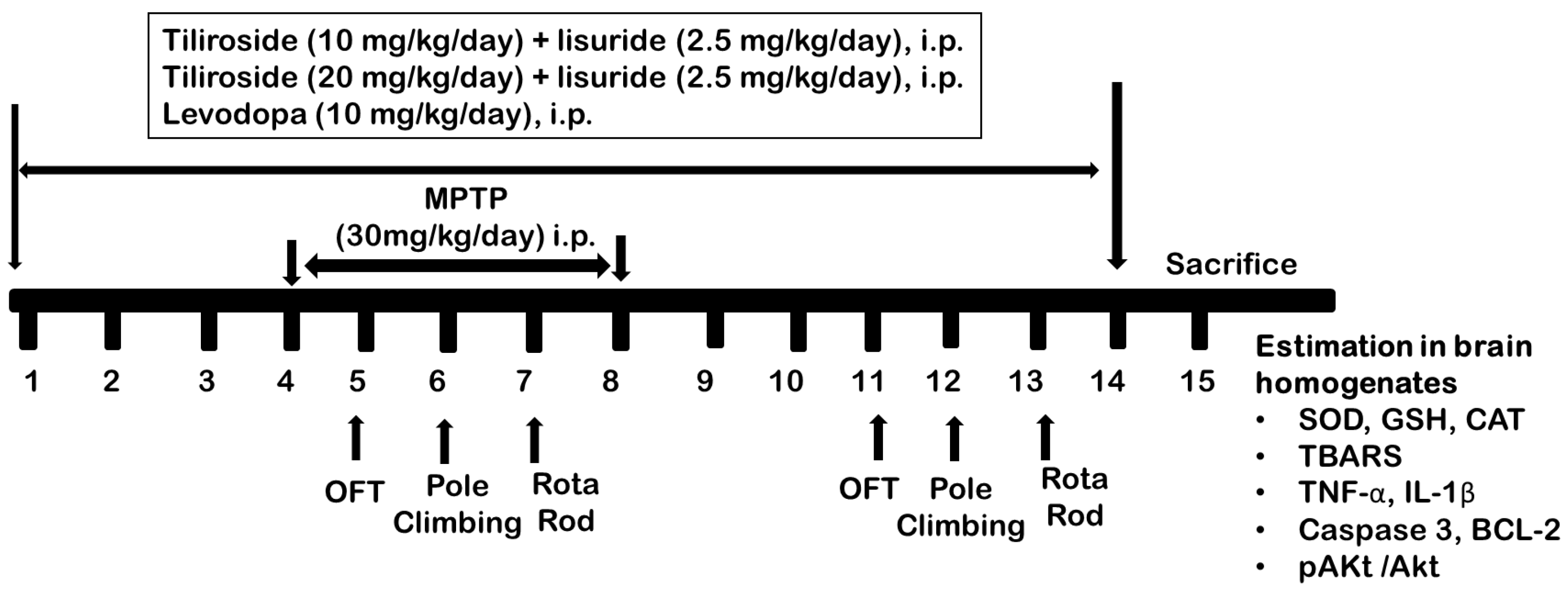 Biomedicines 11 02735 sch002 Biomedicines 11 02735 sch002