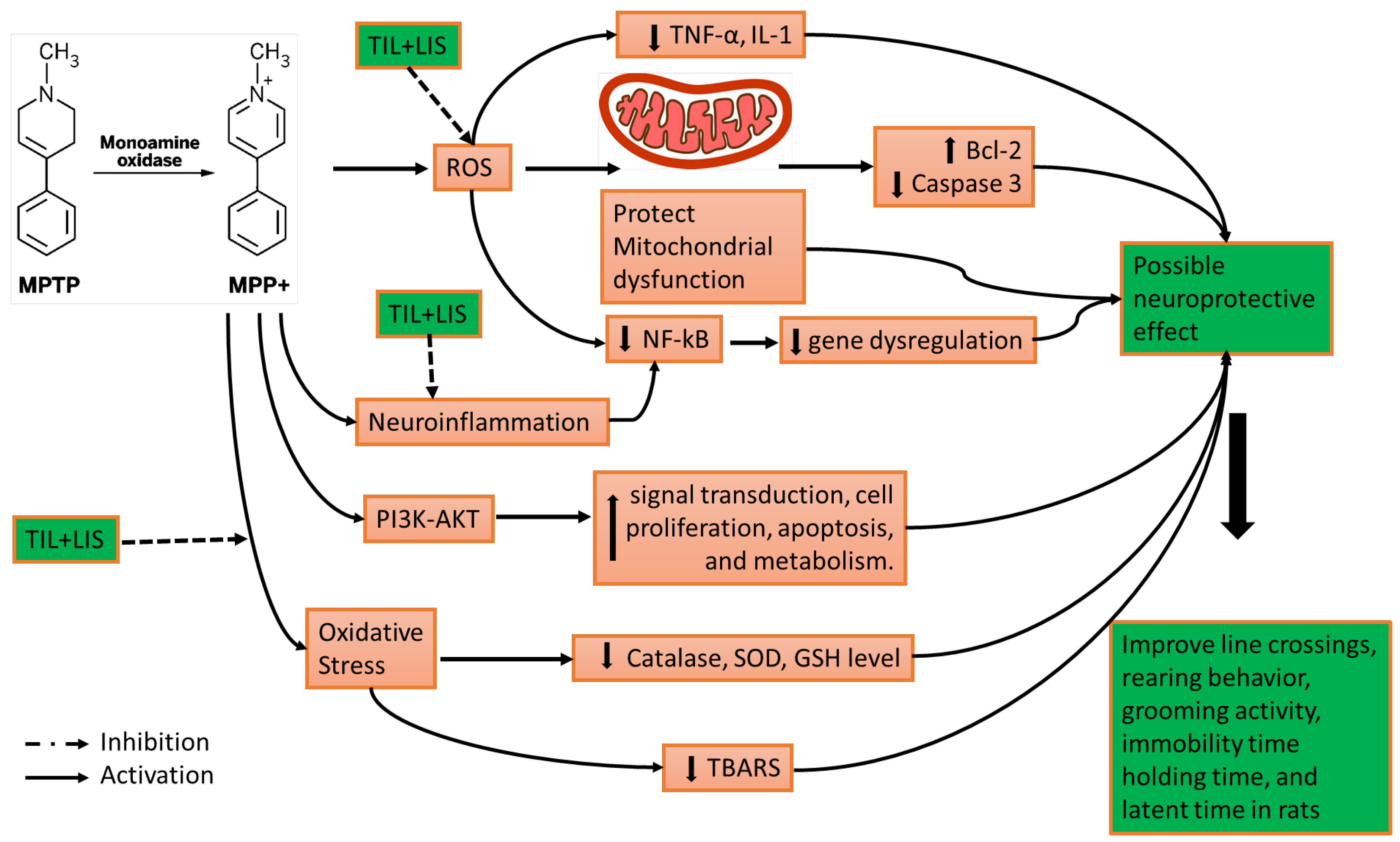 Biomedicines 11 02735 sch003 Biomedicines 11 02735 sch003
