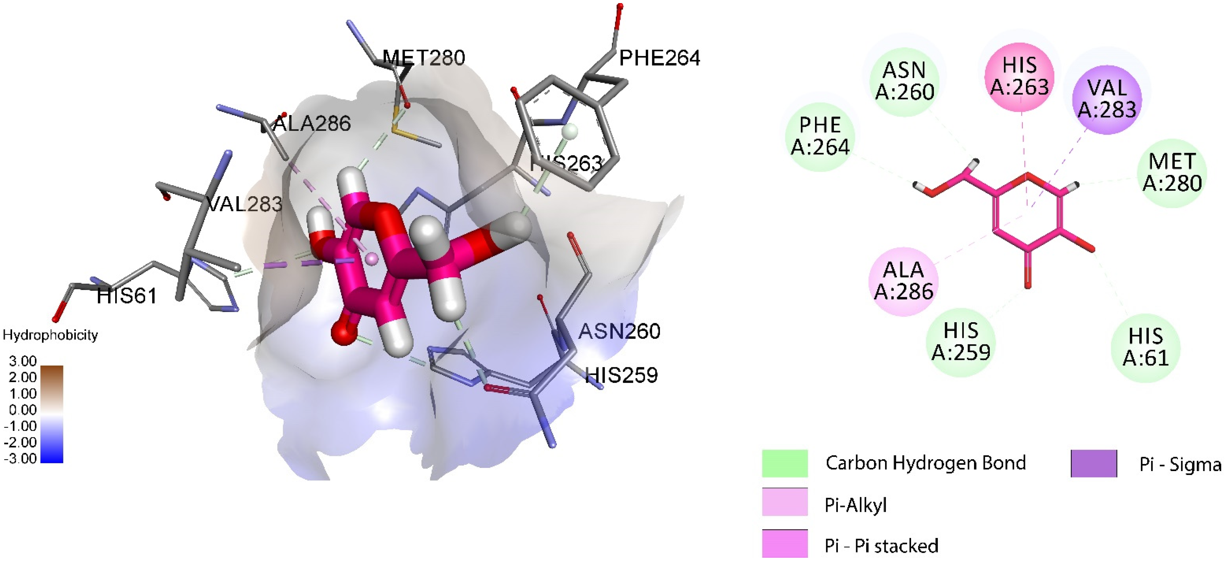 Biomedicines 11 02739 g013