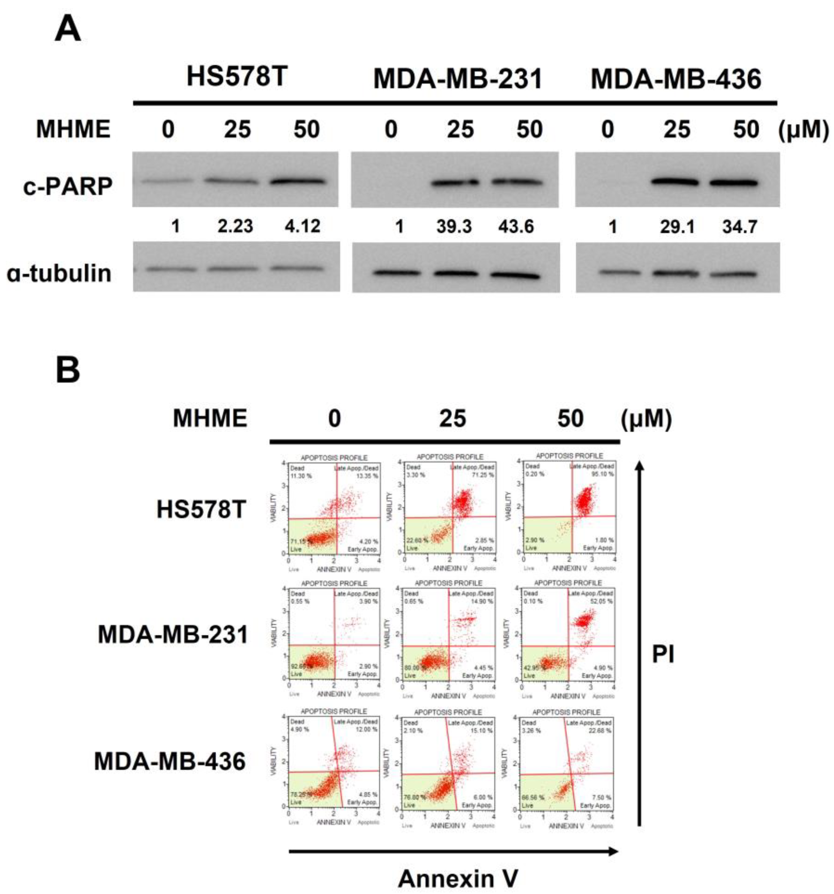 Biomedicines 11 02742 g002a Biomedicines 11 02742 g002a