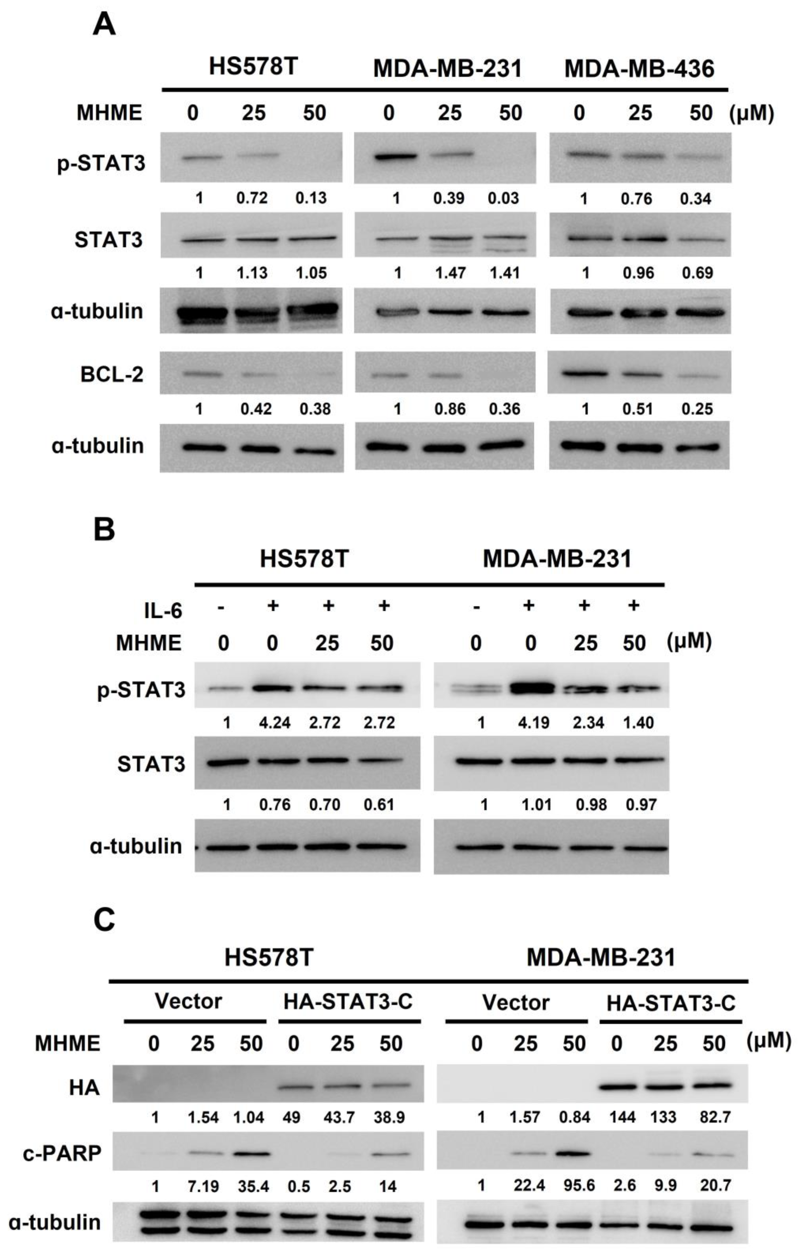 Biomedicines 11 02742 g003a Biomedicines 11 02742 g003a