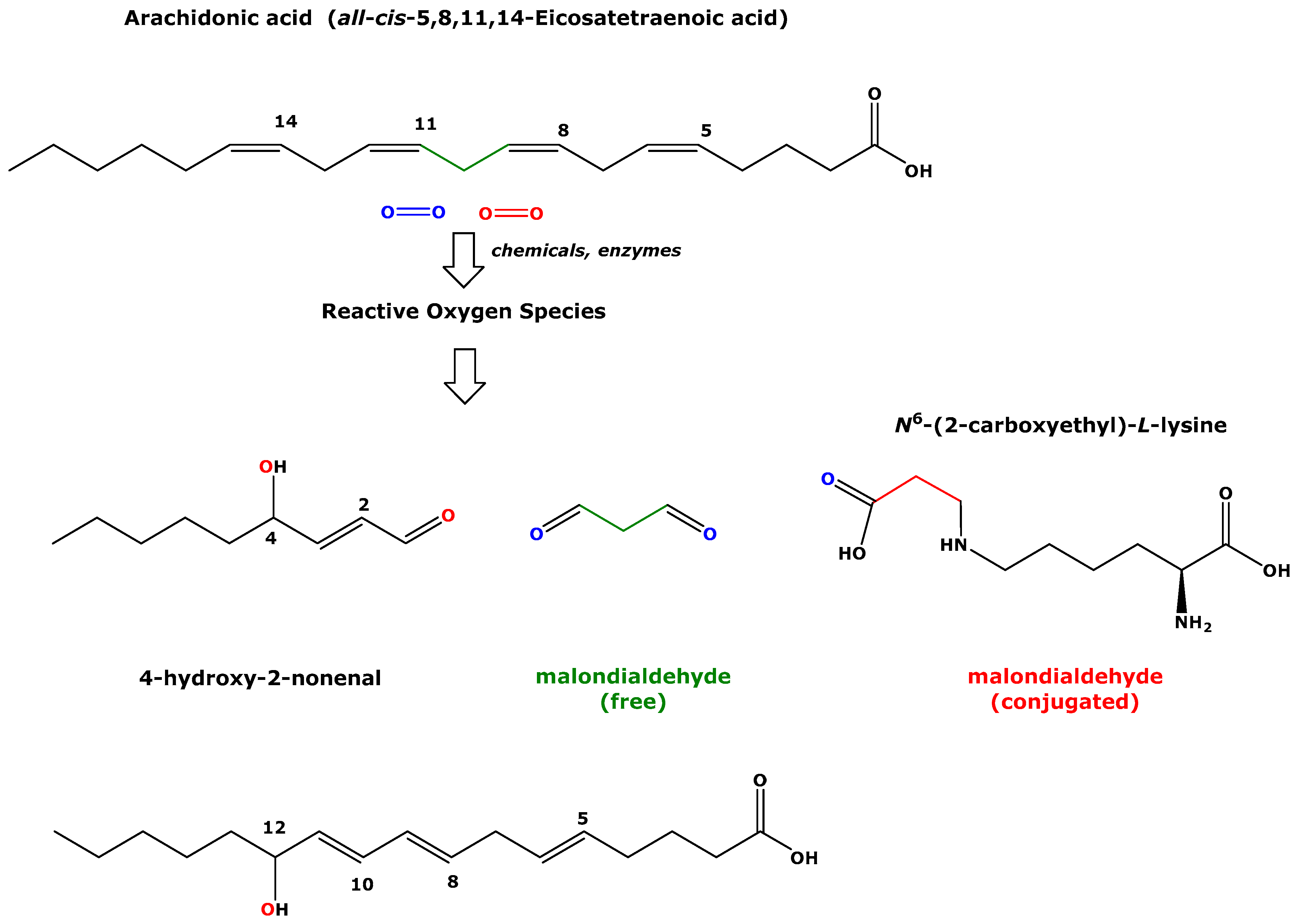 Biomedicines 11 02744 g001 Biomedicines 11 02744 g001