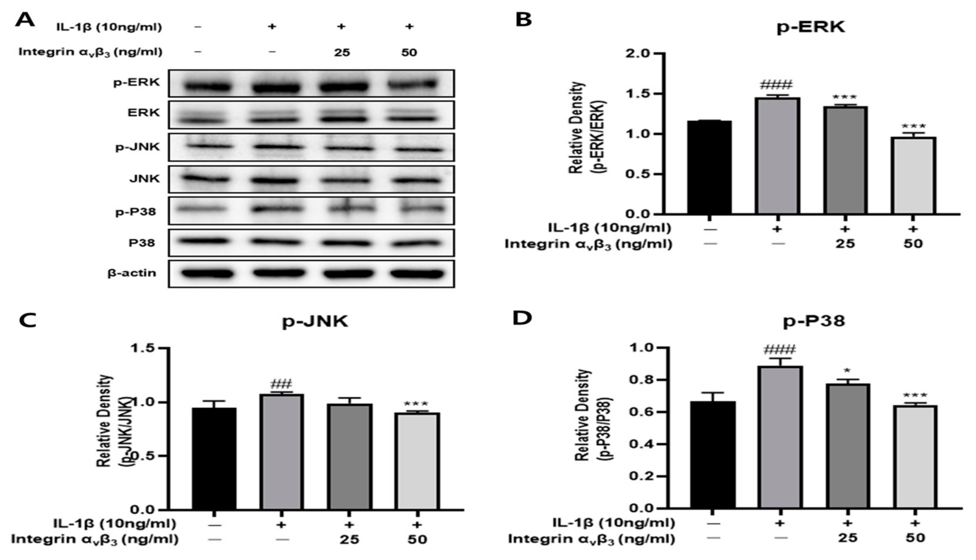 Biomedicines 11 02745 g003 Biomedicines 11 02745 g003
