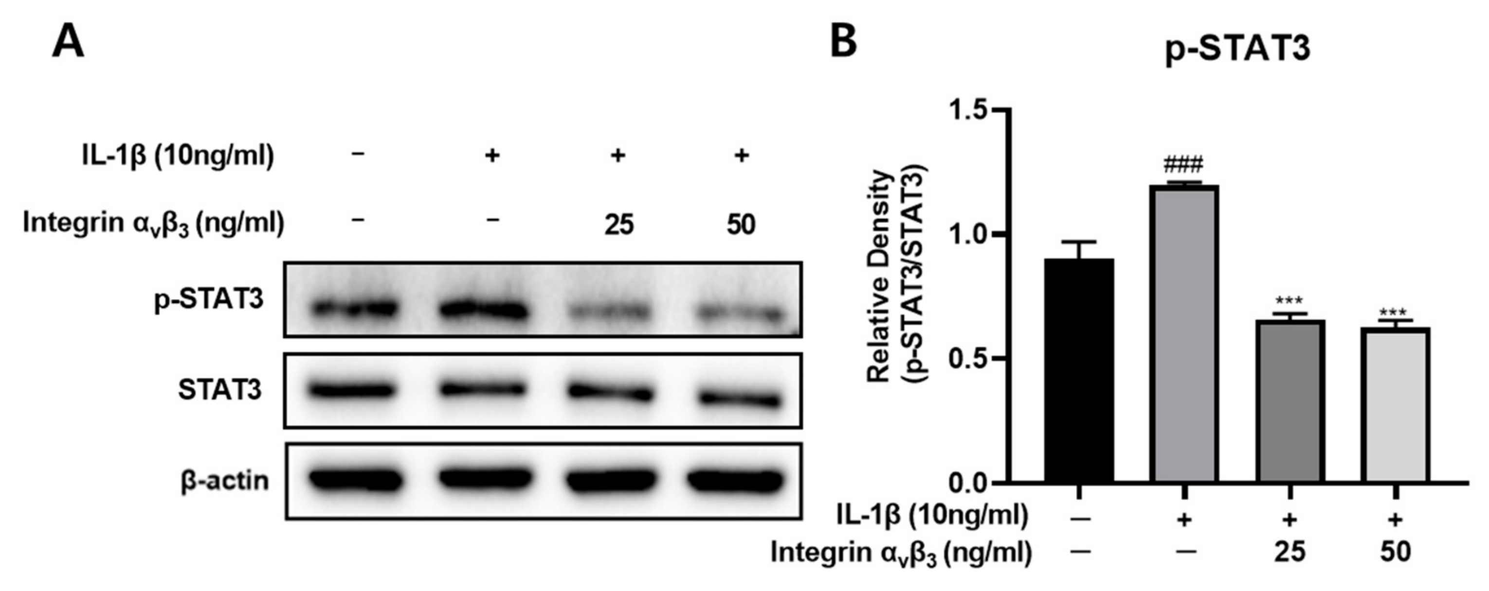 Biomedicines 11 02745 g005 Biomedicines 11 02745 g005
