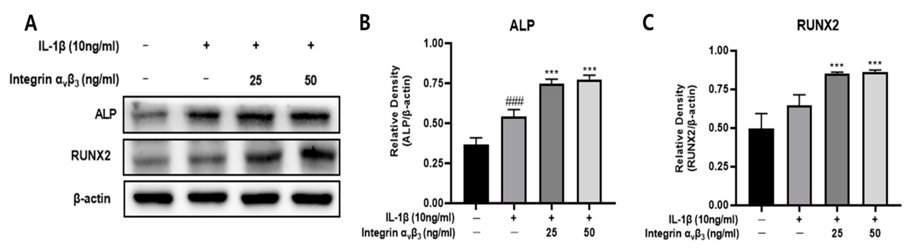 Biomedicines 11 02745 g006 Biomedicines 11 02745 g006