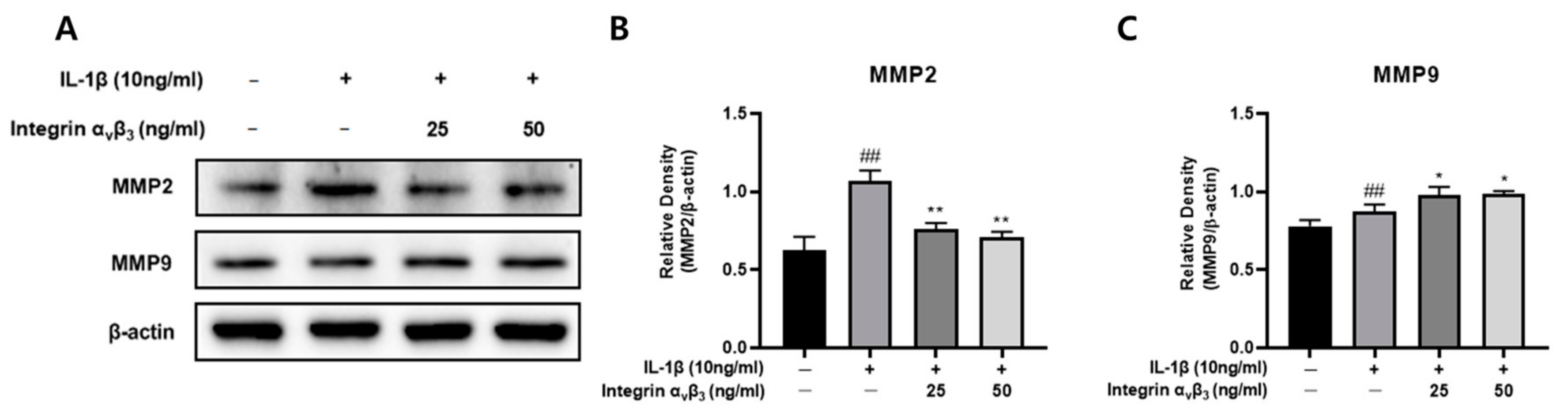 Biomedicines 11 02745 g008 Biomedicines 11 02745 g008