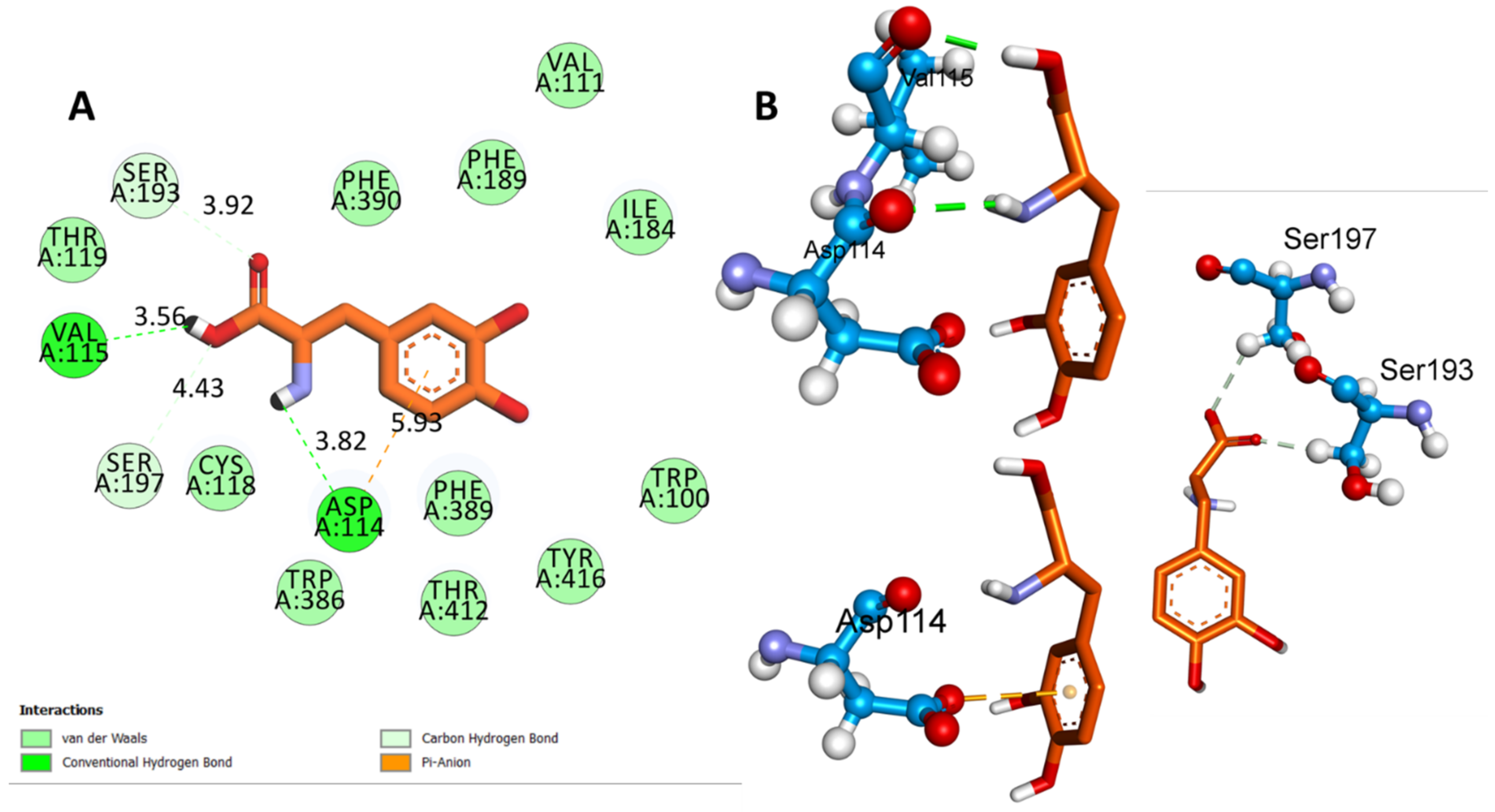 Biomedicines 11 02756 g010