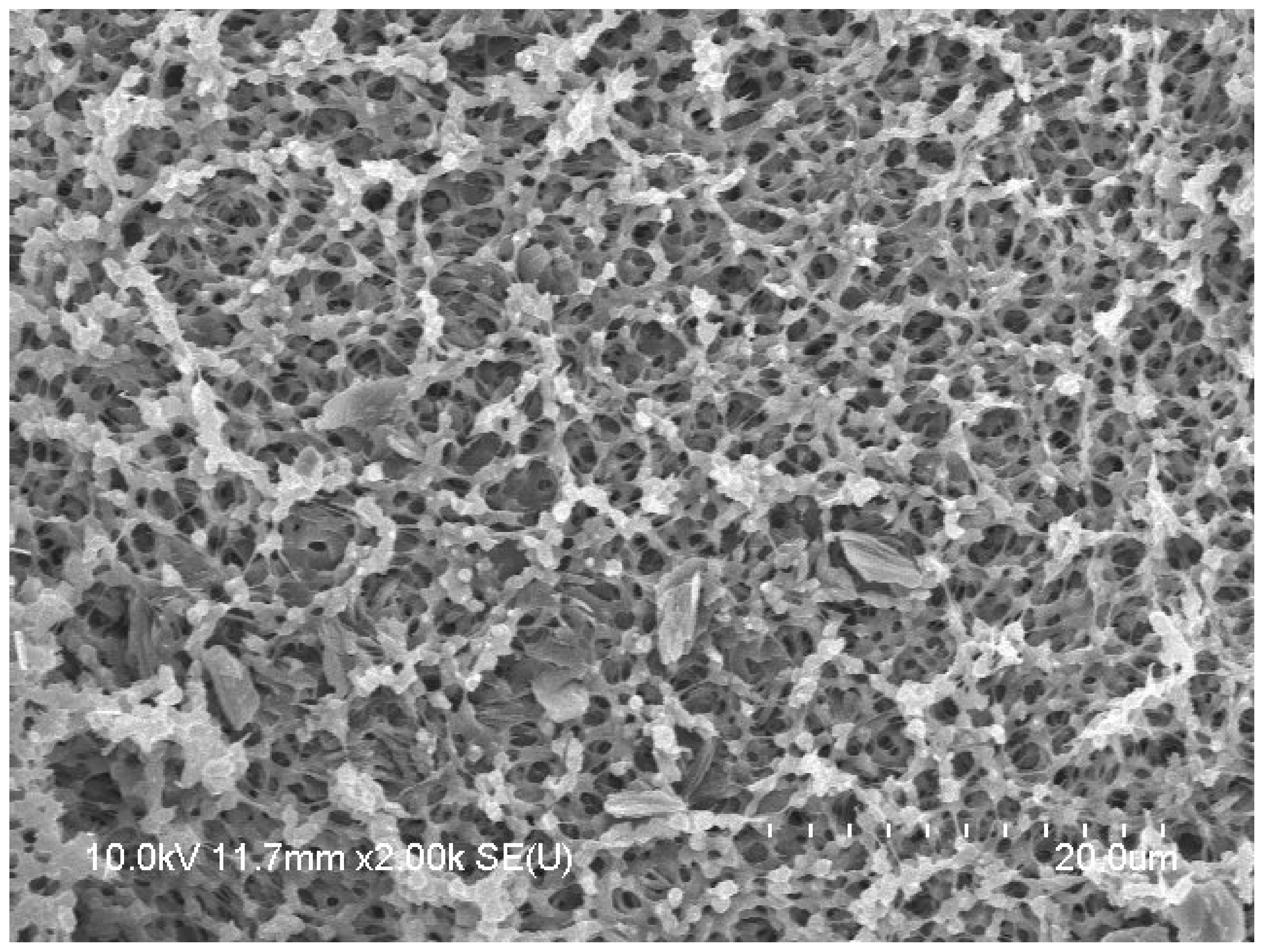 Biomedicines 11 02756 g014