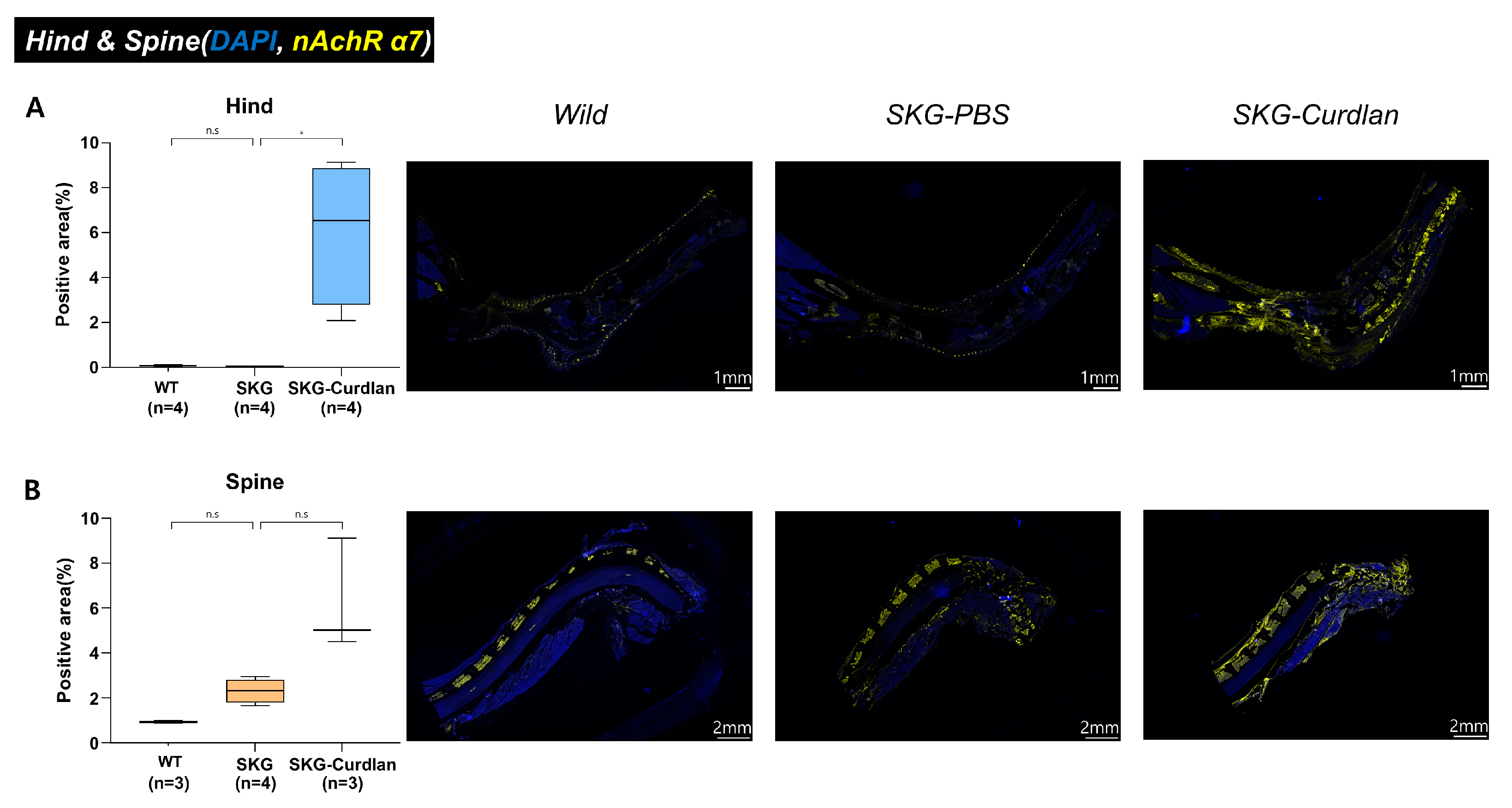 Biomedicines 11 02757 g001