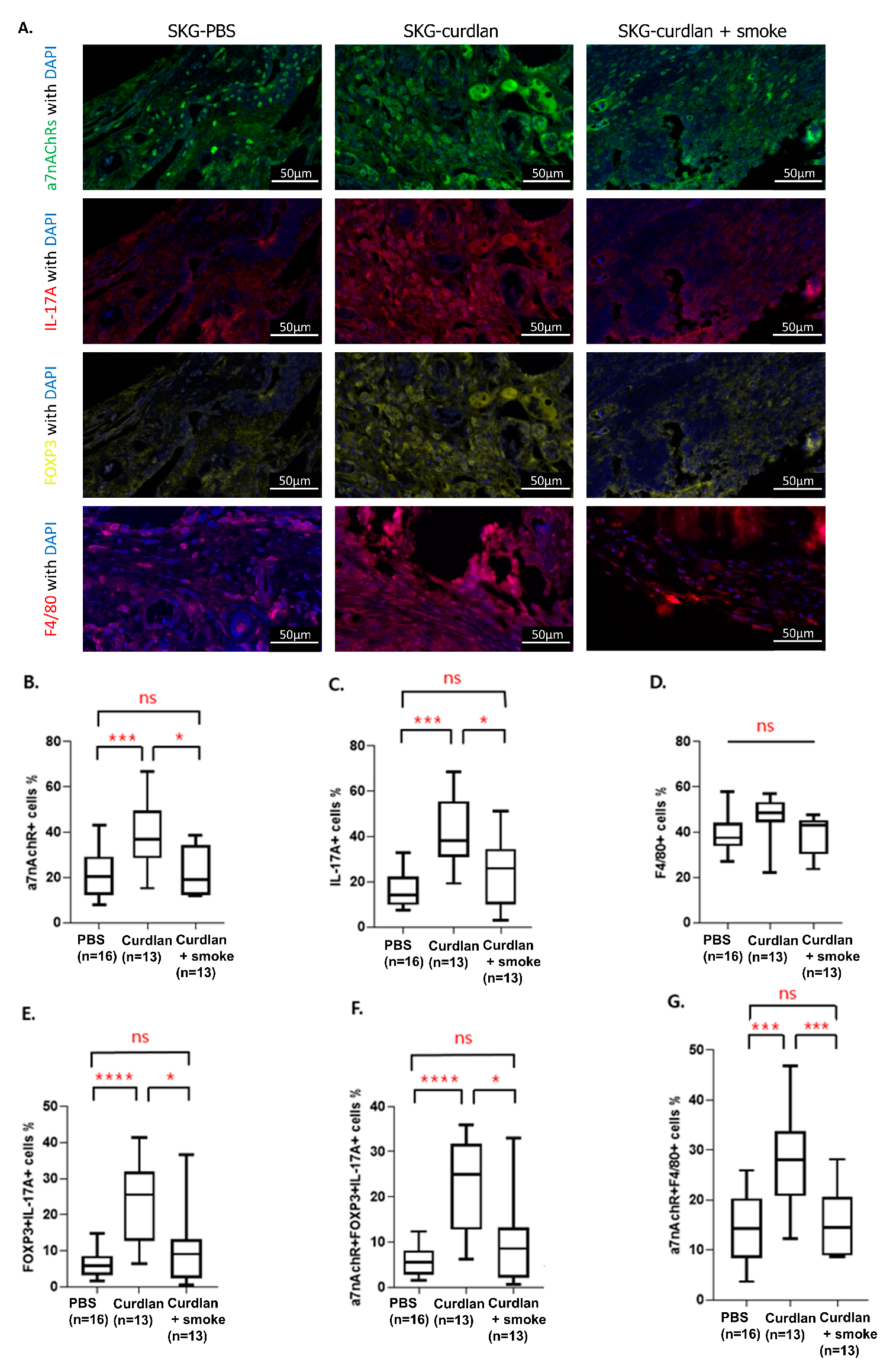 Biomedicines 11 02757 g005