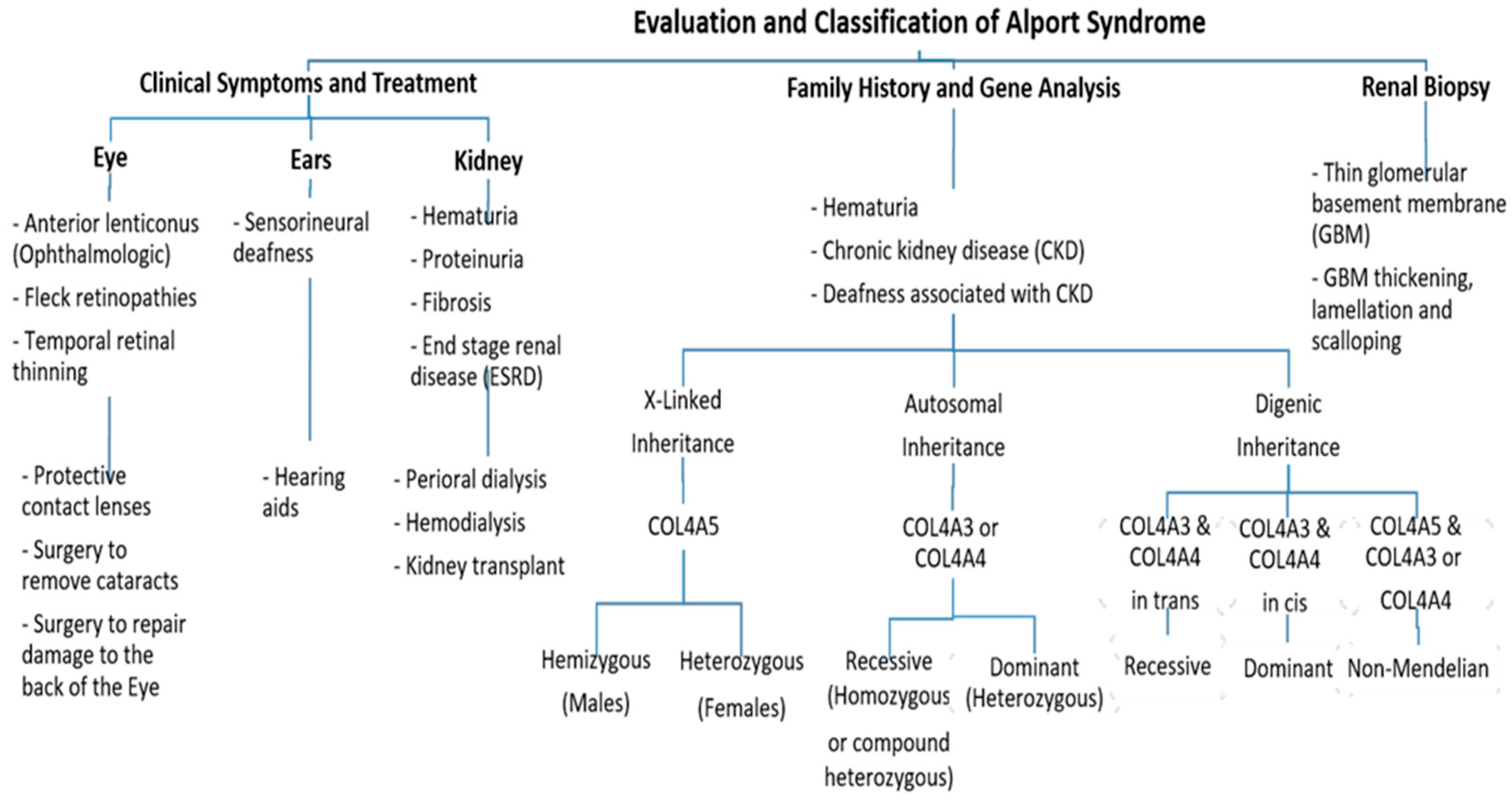 Biomedicines 11 02762 g002
