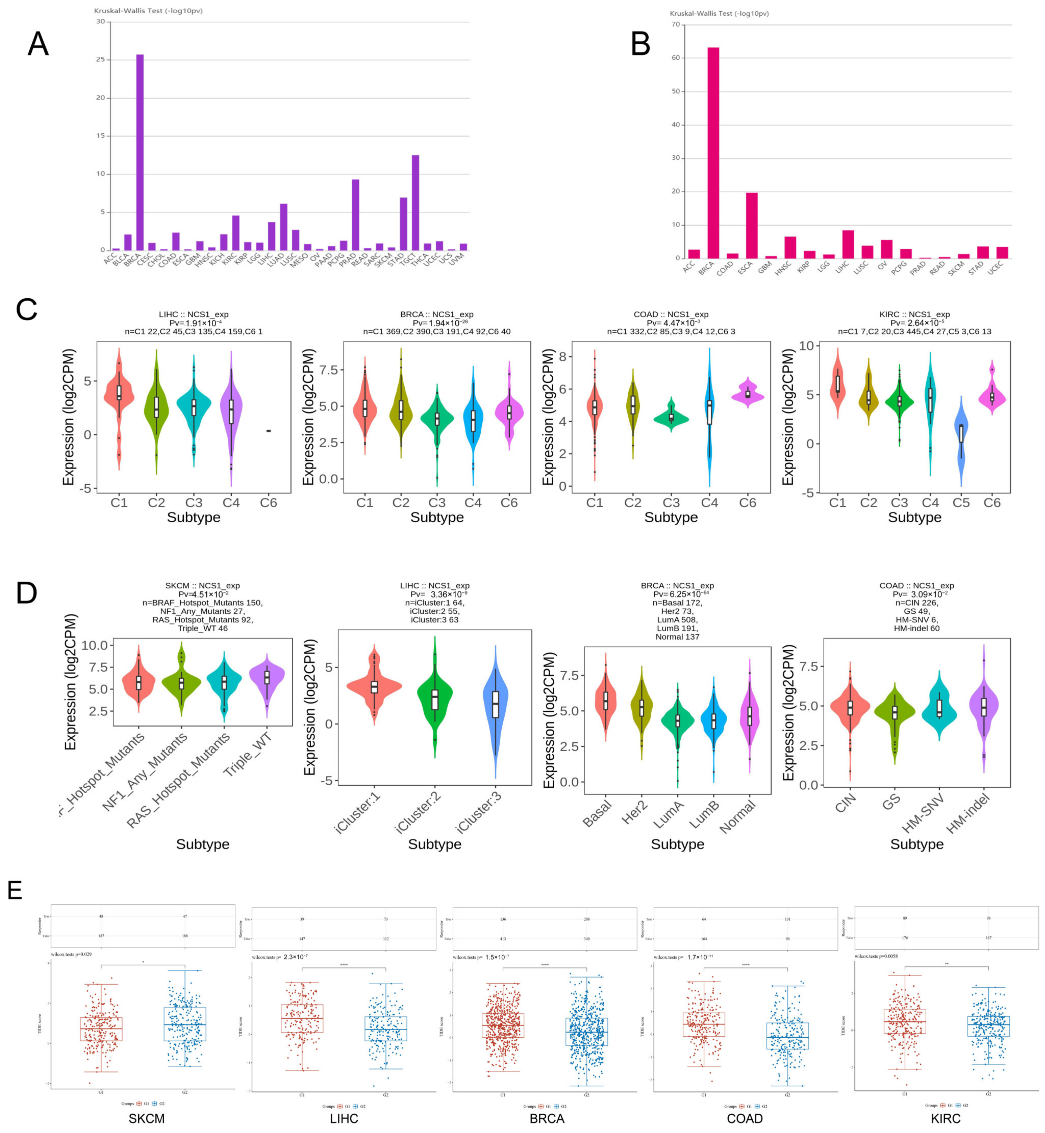 Biomedicines 11 02765 g004
