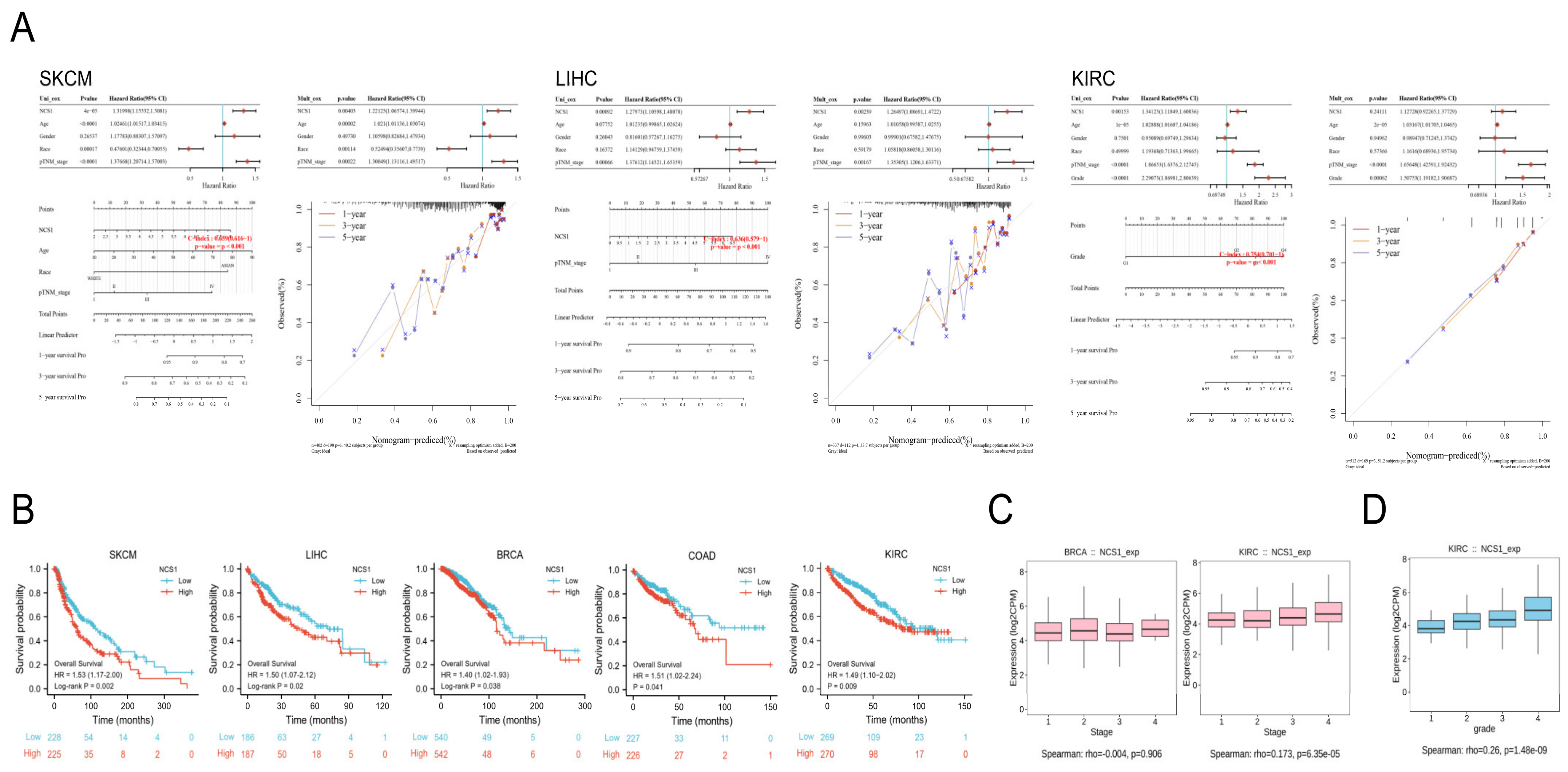 Biomedicines 11 02765 g005