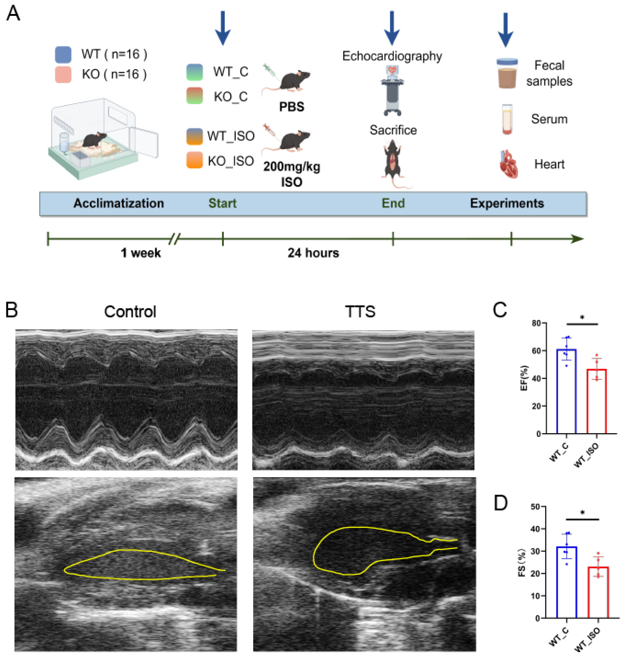 Biomedicines 11 02766 g001 Biomedicines 11 02766 g001