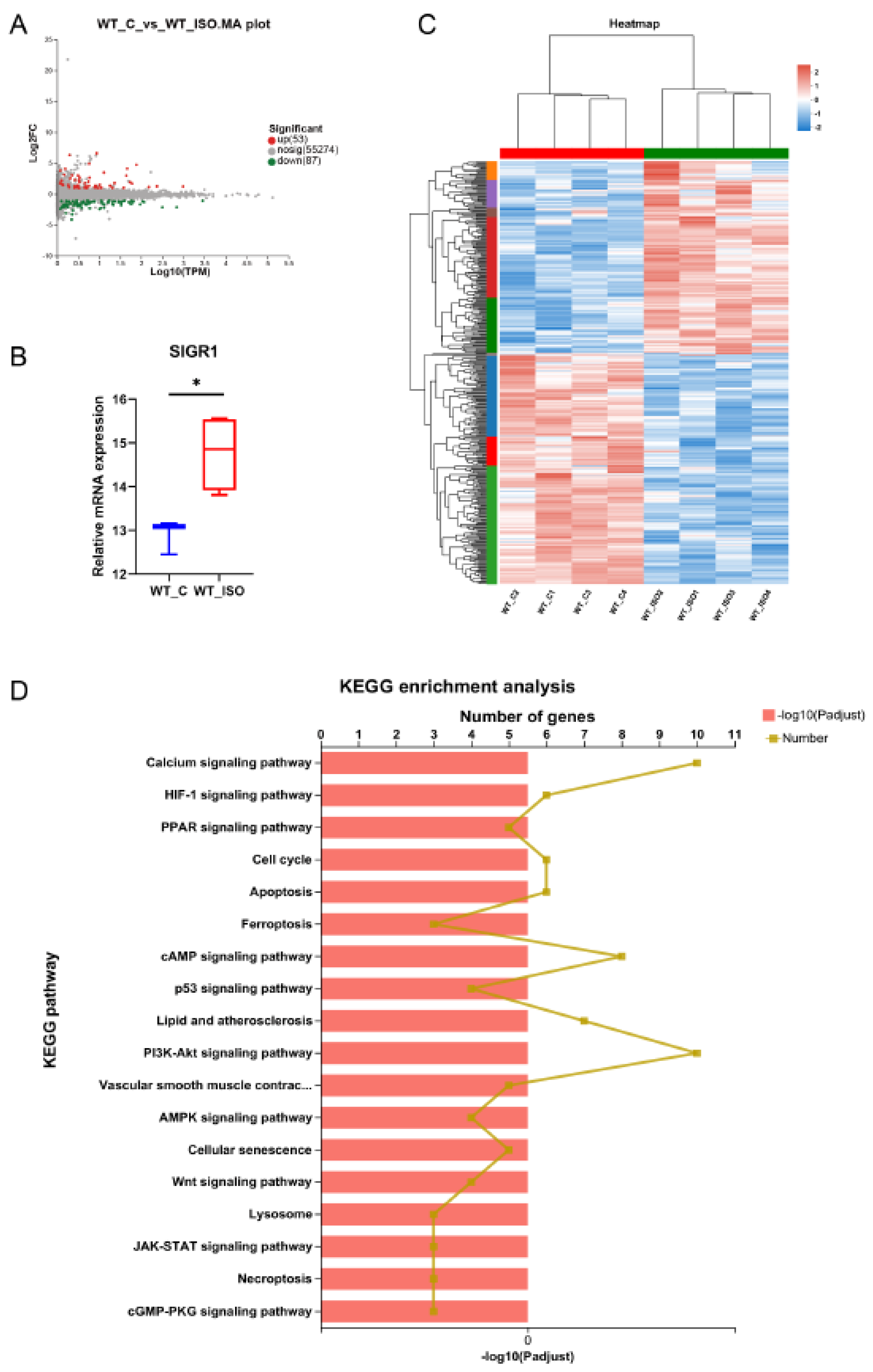 Biomedicines 11 02766 g004 Biomedicines 11 02766 g004