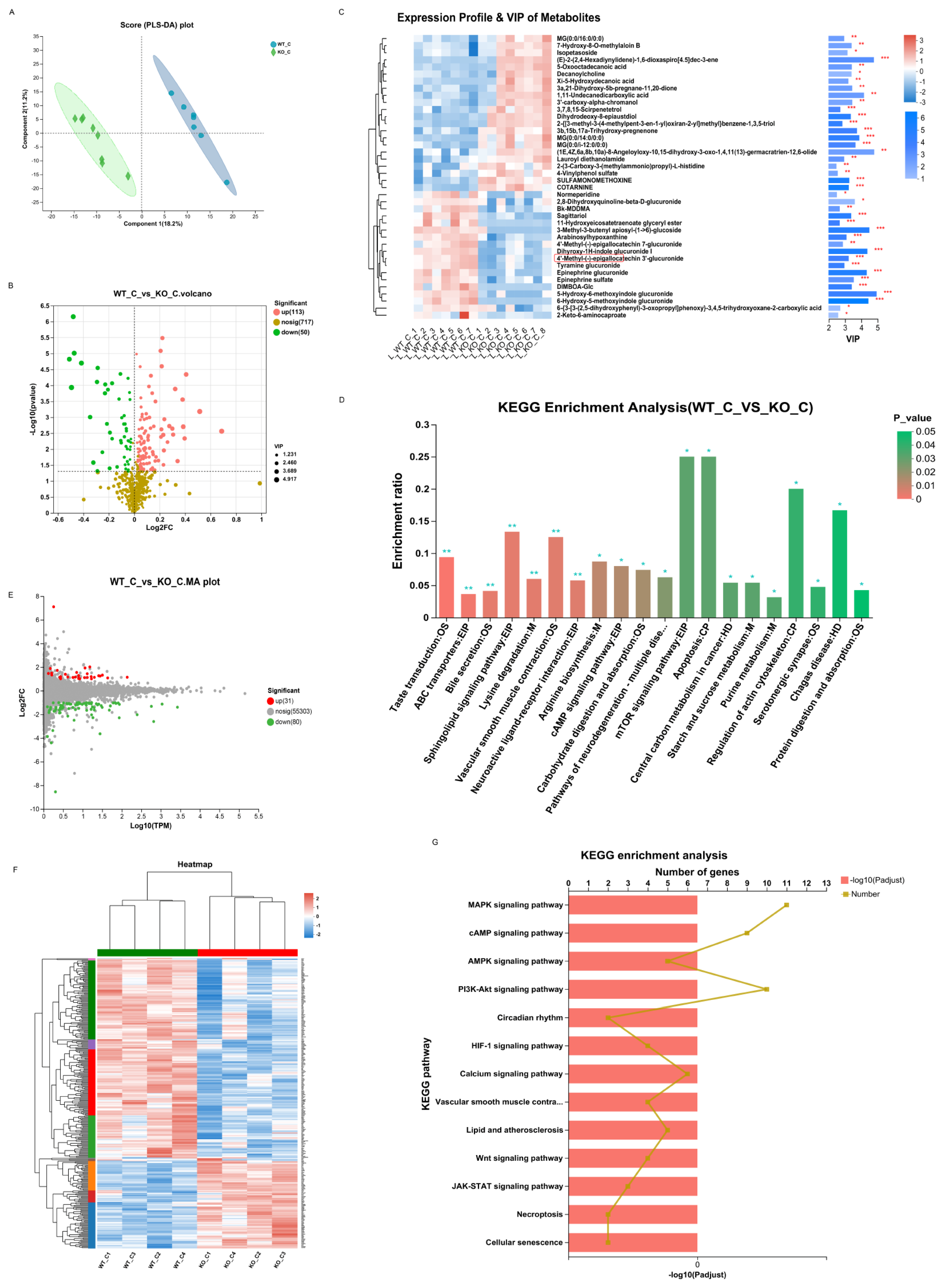 Biomedicines 11 02766 g007 Biomedicines 11 02766 g007