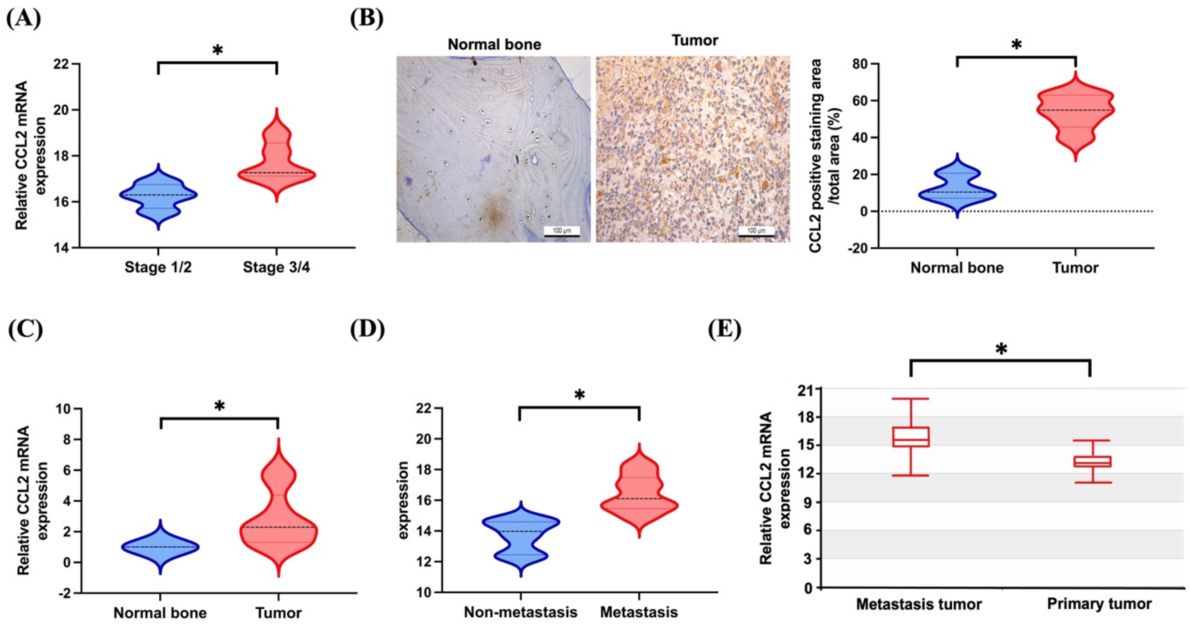 Biomedicines 11 02768 g001