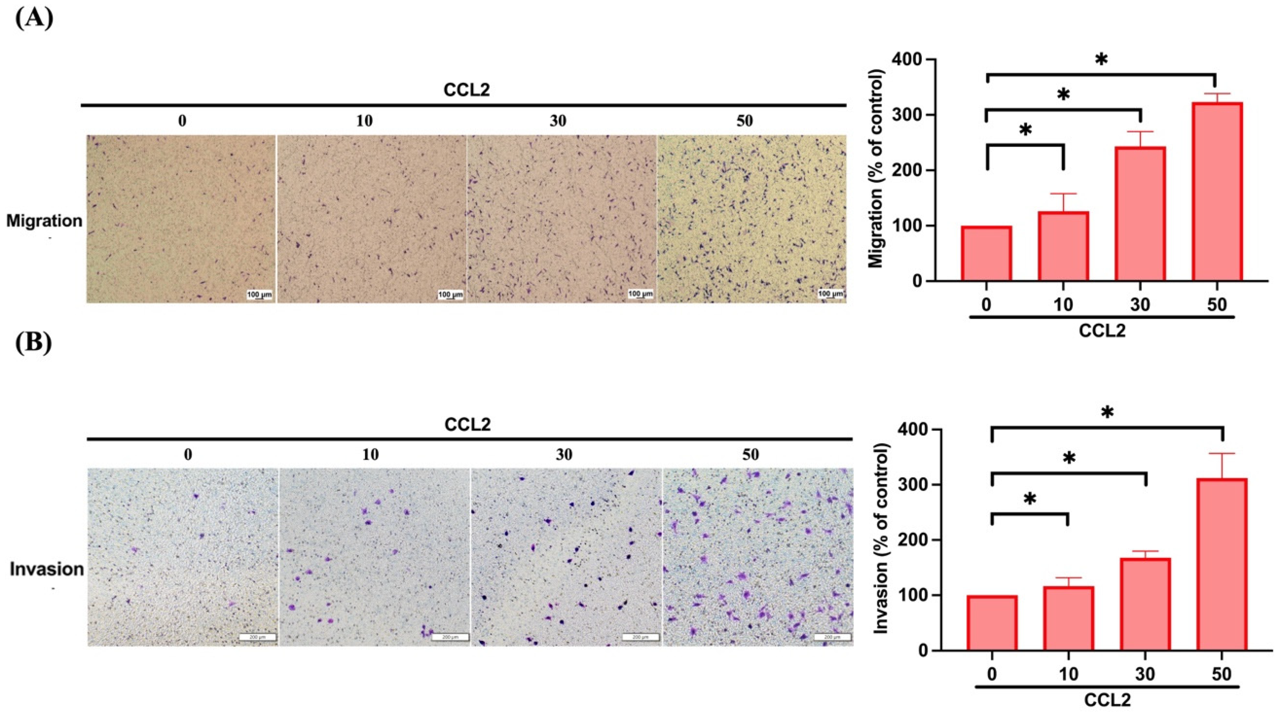 Biomedicines 11 02768 g002
