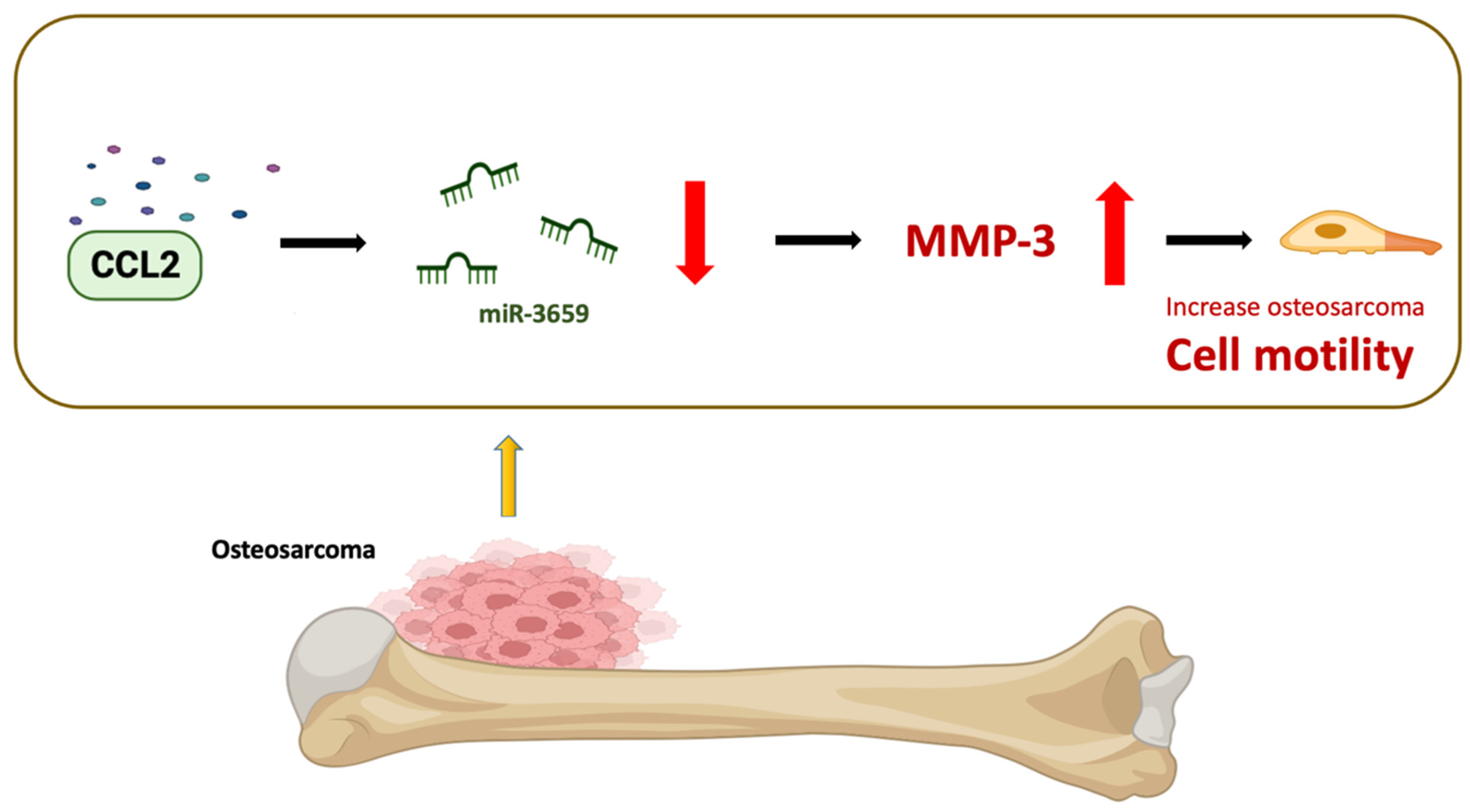 Biomedicines 11 02768 g006
