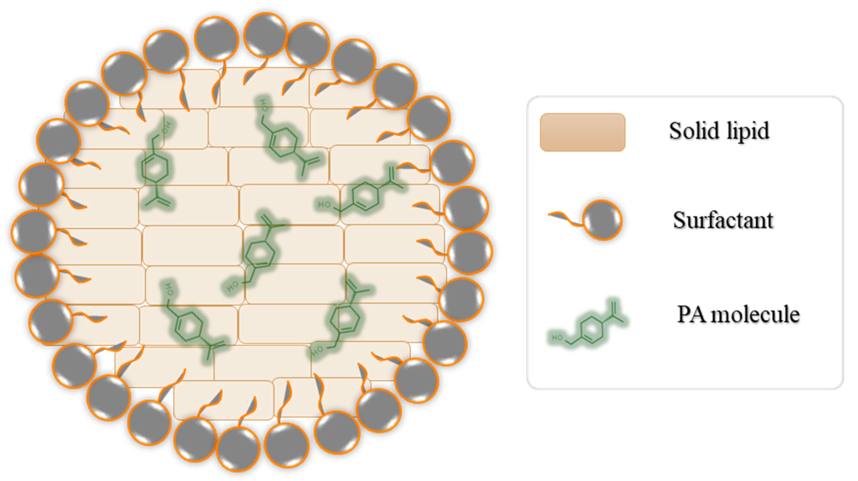 Biomedicines 11 02771 g001