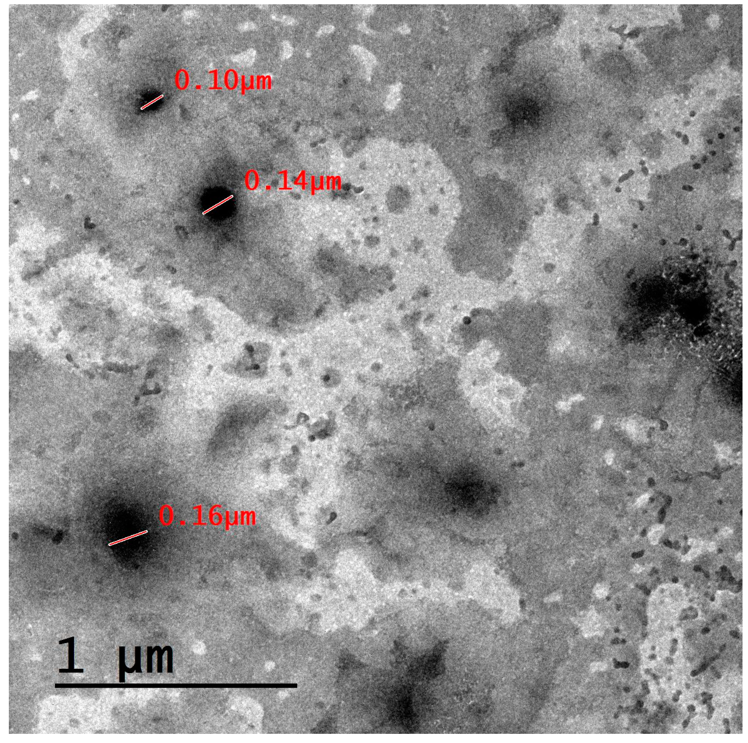 Biomedicines 11 02771 g002