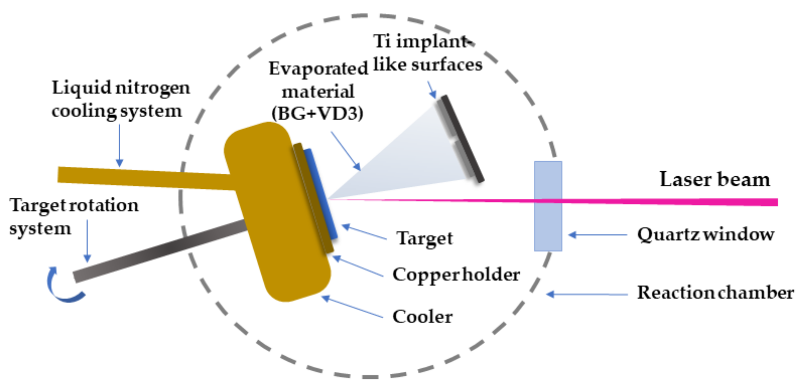 Biomedicines 11 02772 g001
