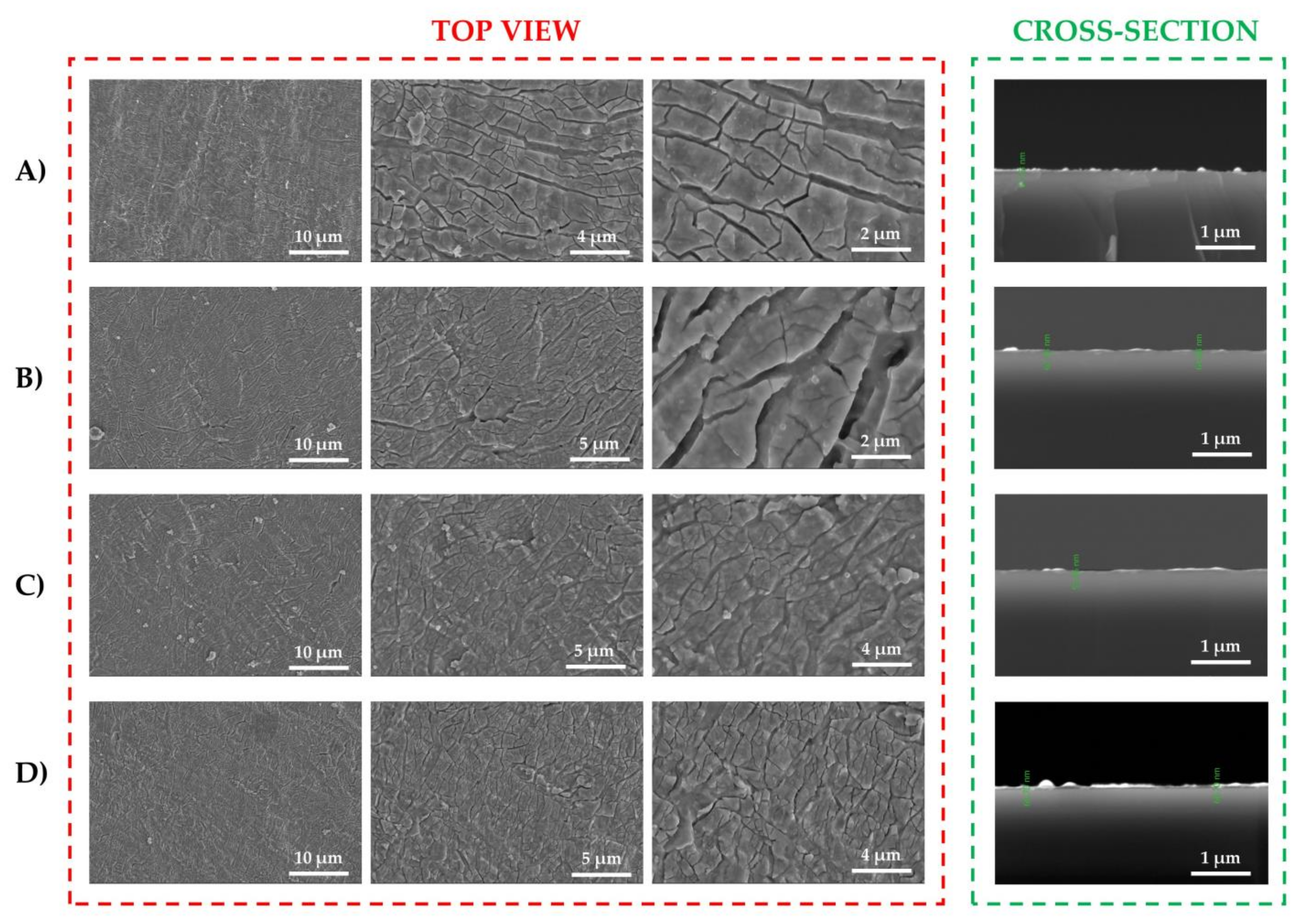 Biomedicines 11 02772 g004