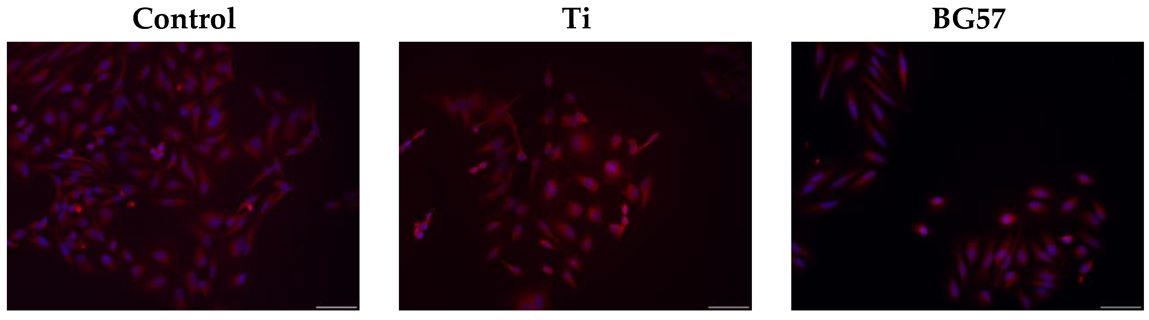 Biomedicines 11 02772 g006a