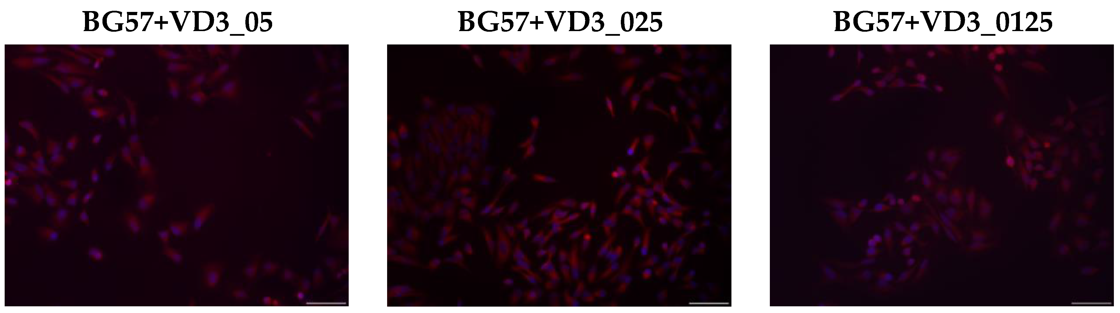 Biomedicines 11 02772 g006b