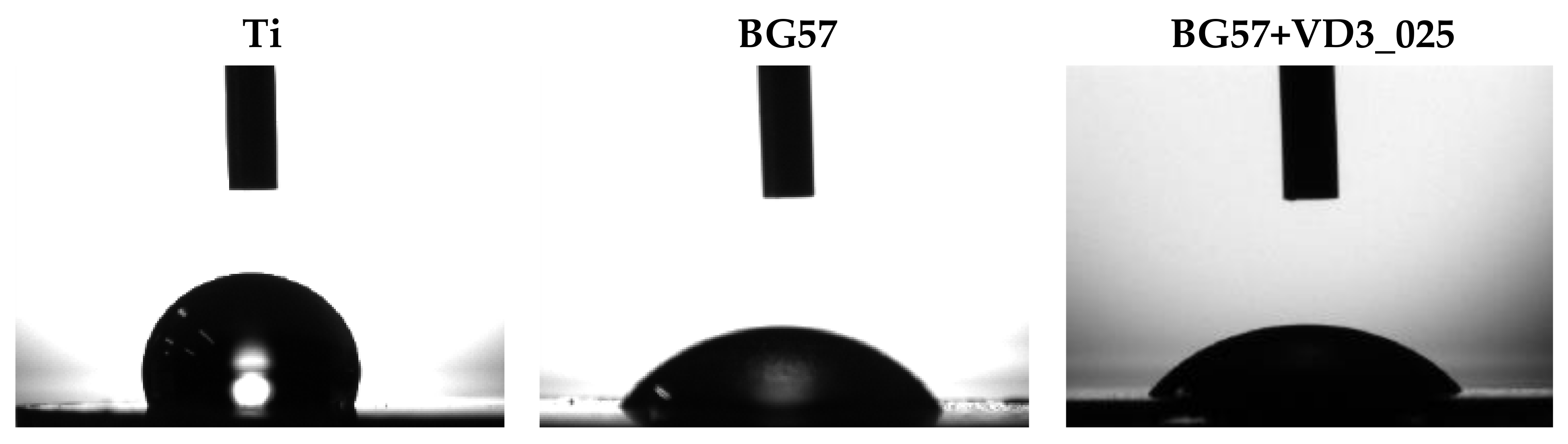 Biomedicines 11 02772 g008a