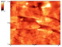 Biomedicines 11 02772 i001