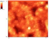 Biomedicines 11 02772 i003