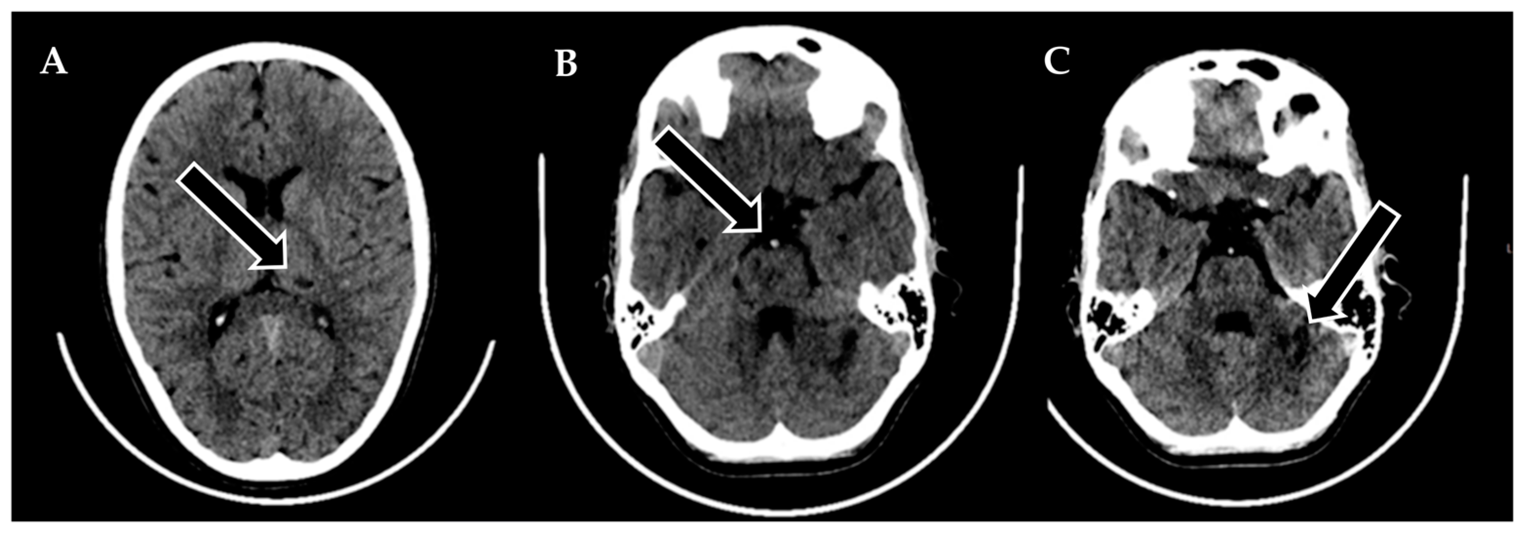 Biomedicines 11 02774 g001