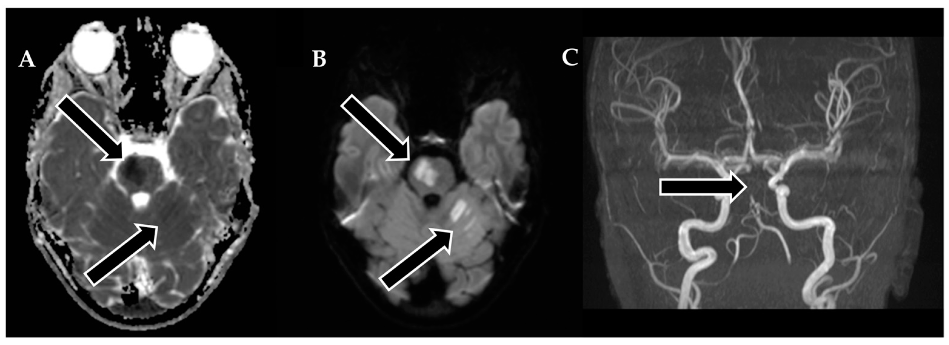 Biomedicines 11 02774 g002