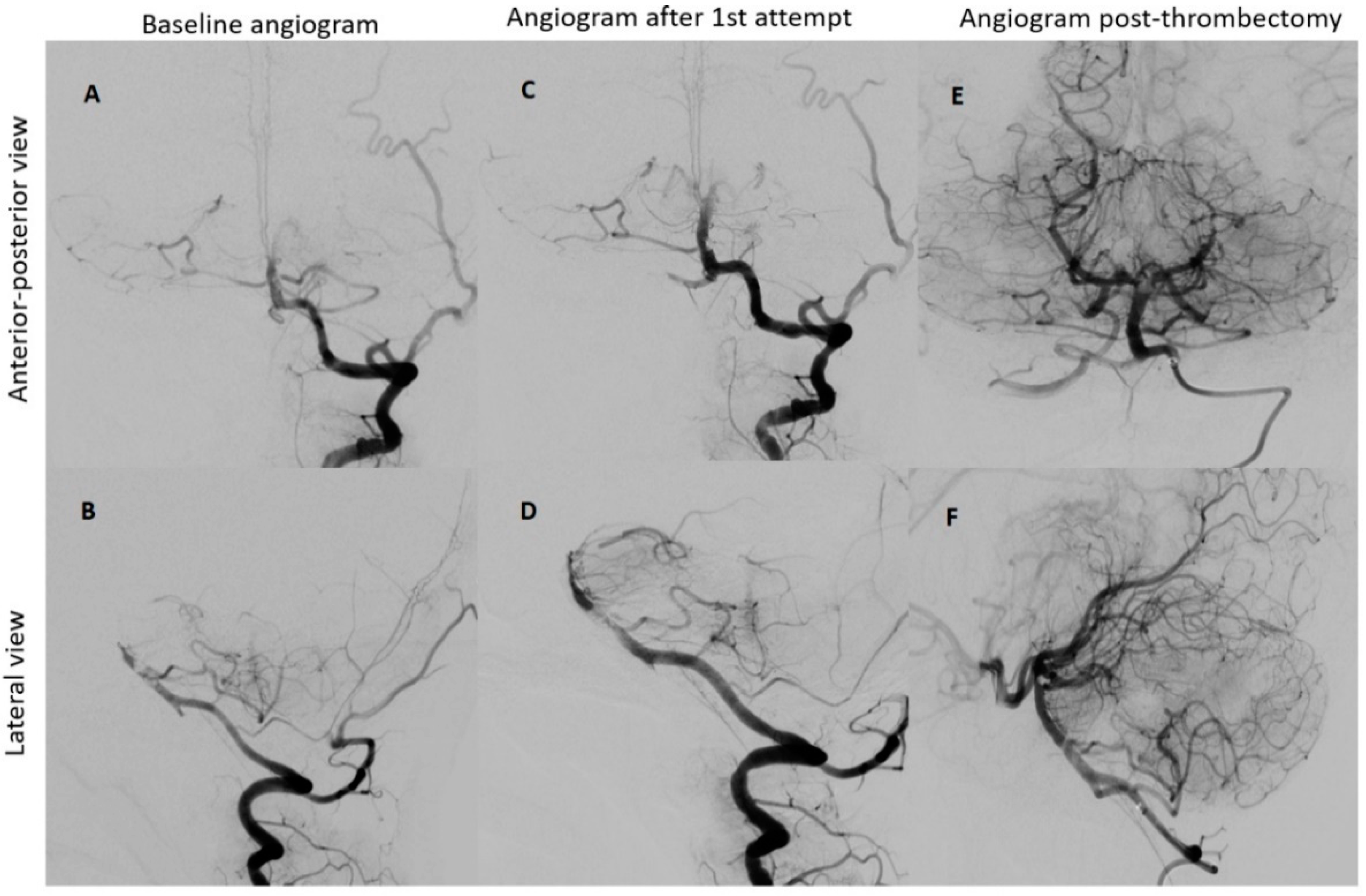 Biomedicines 11 02774 g003