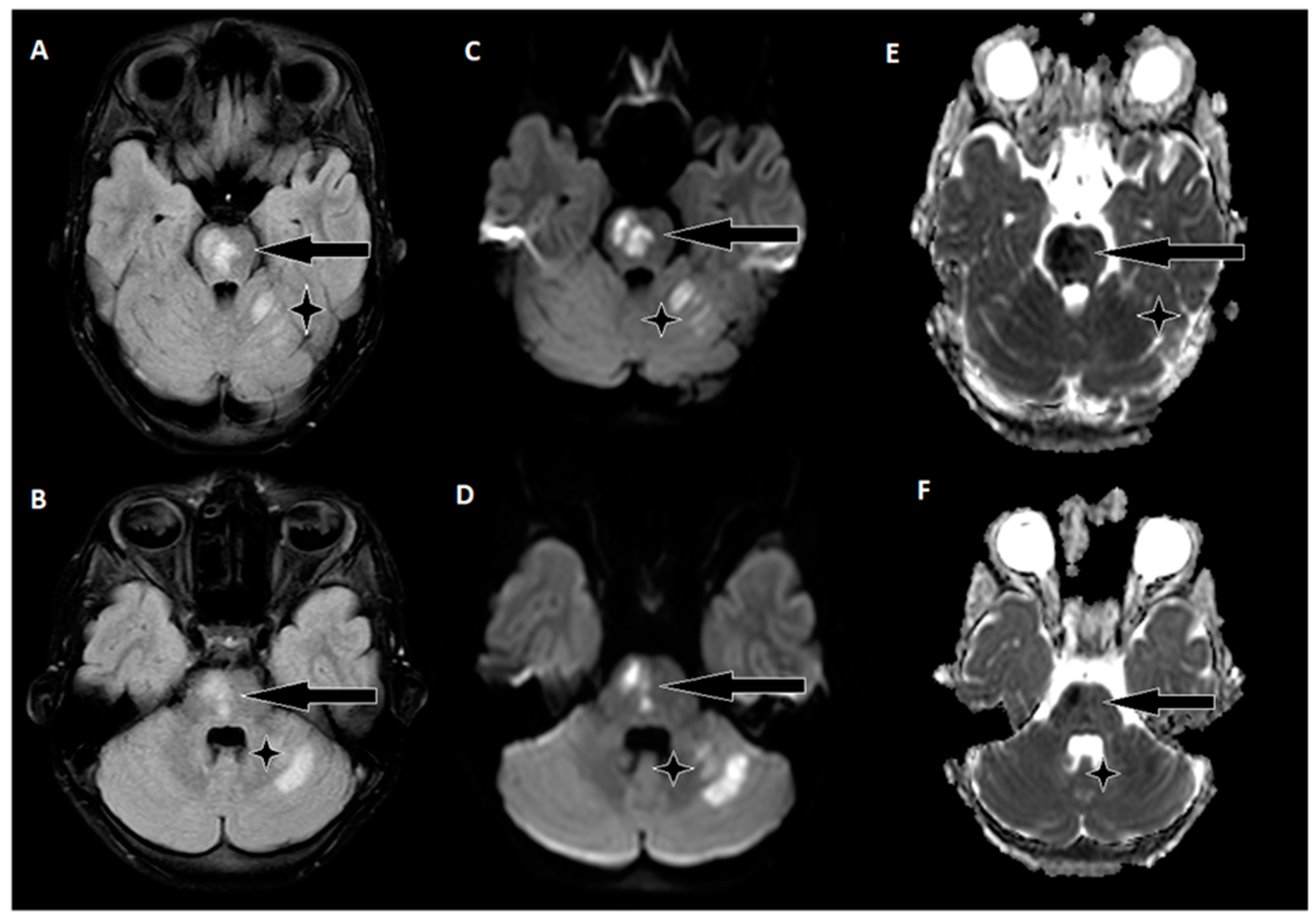 Biomedicines 11 02774 g004