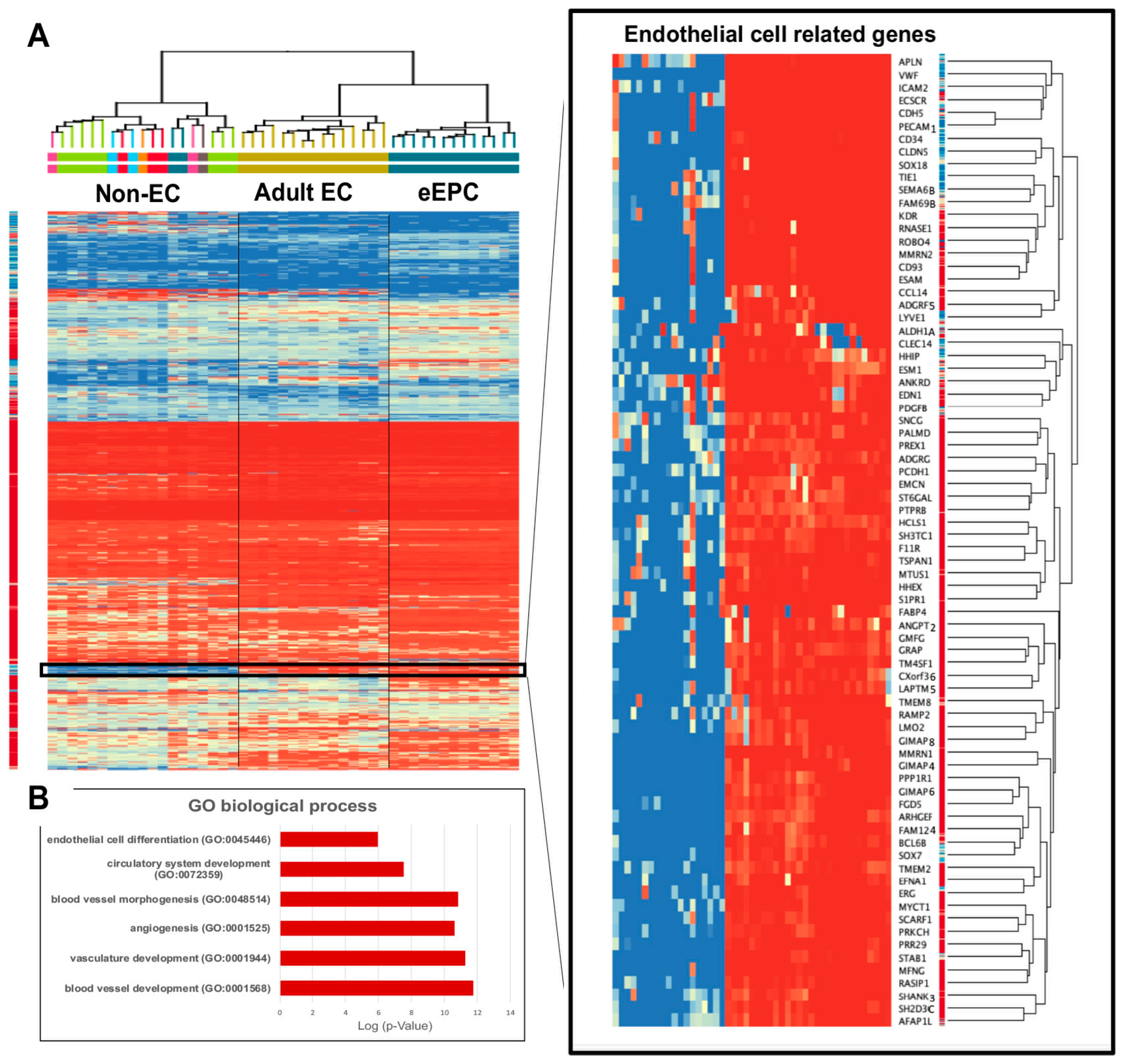 Biomedicines 11 02777 g003