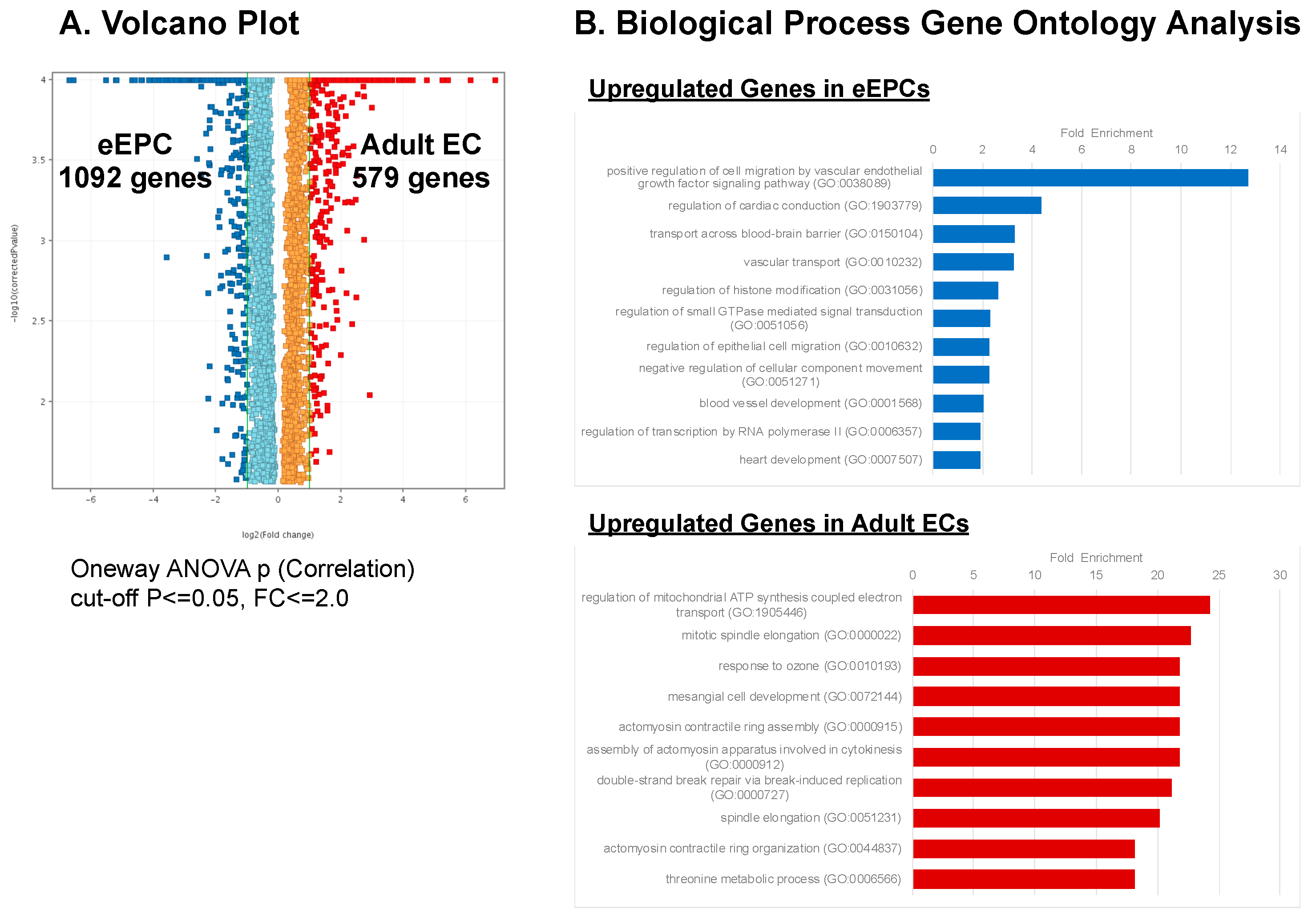 Biomedicines 11 02777 g006