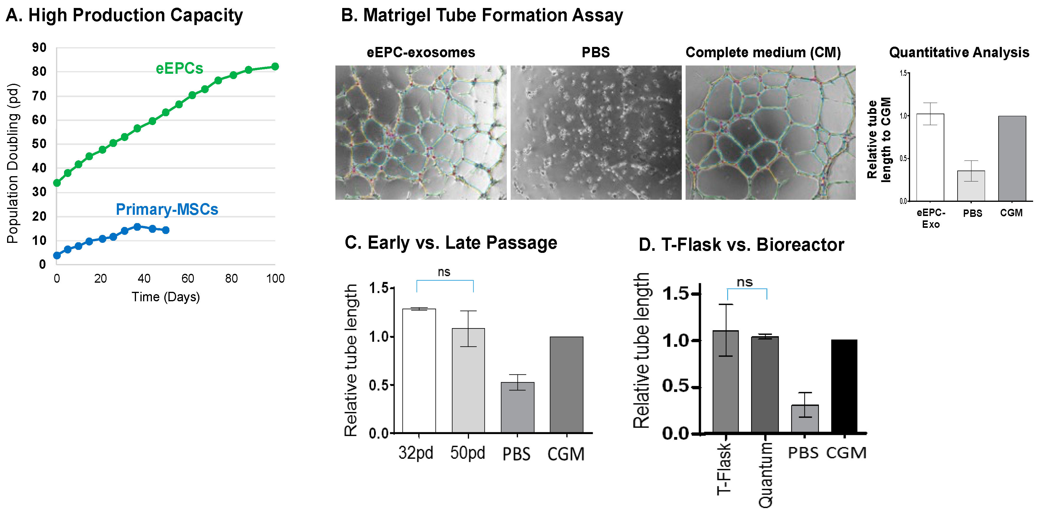 Biomedicines 11 02777 g008