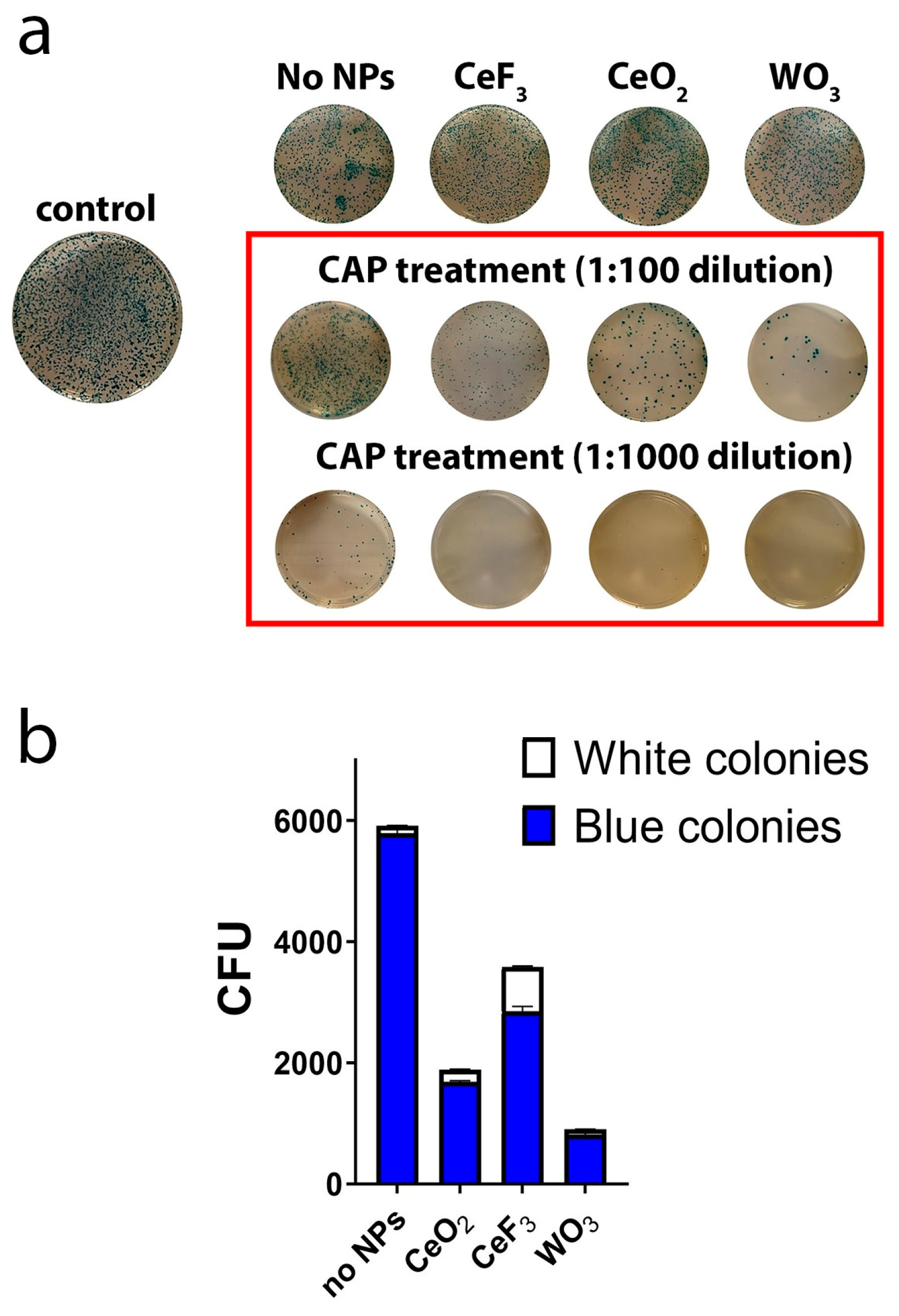 Biomedicines 11 02780 g002