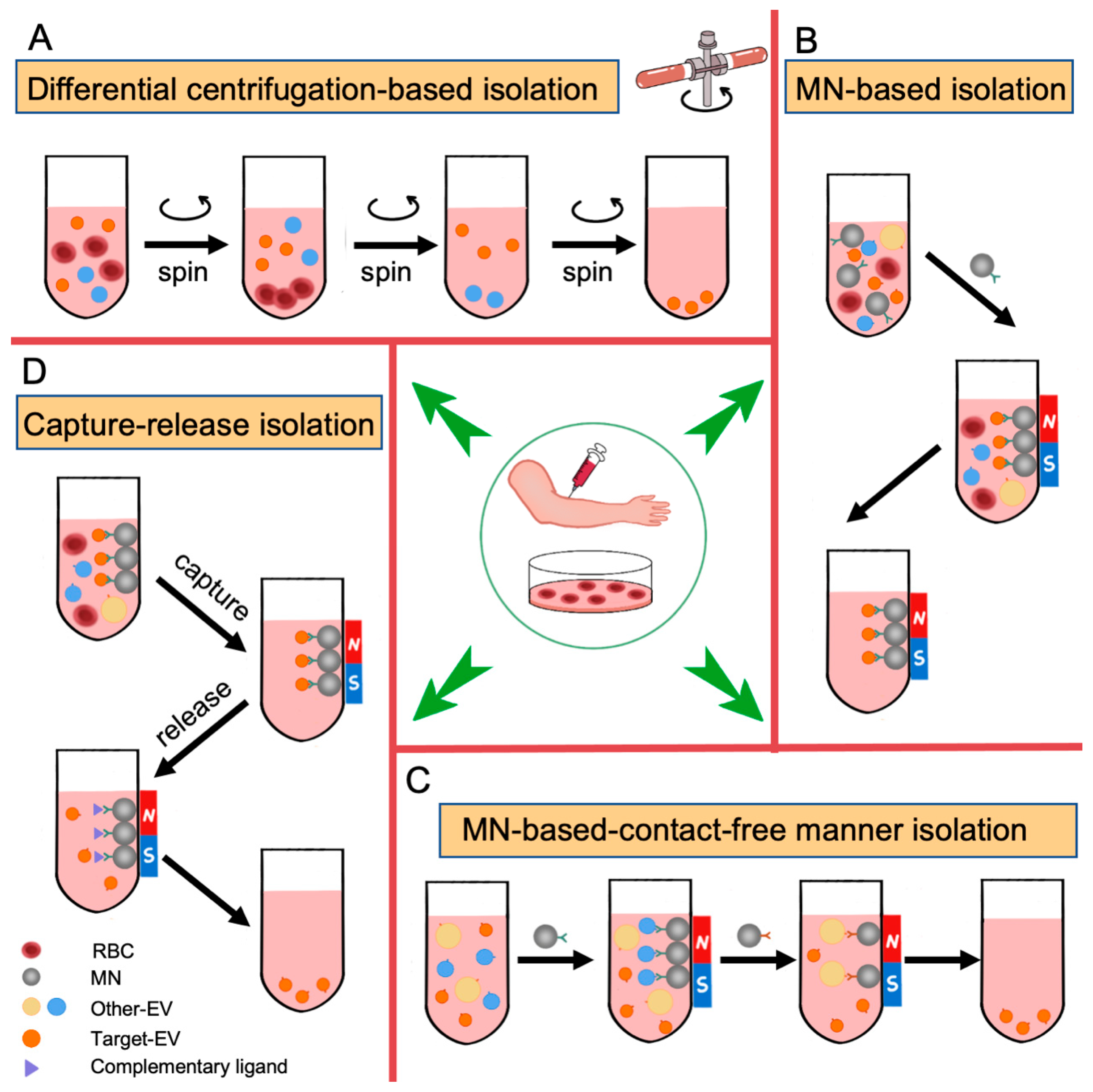 Biomedicines 11 02798 g003